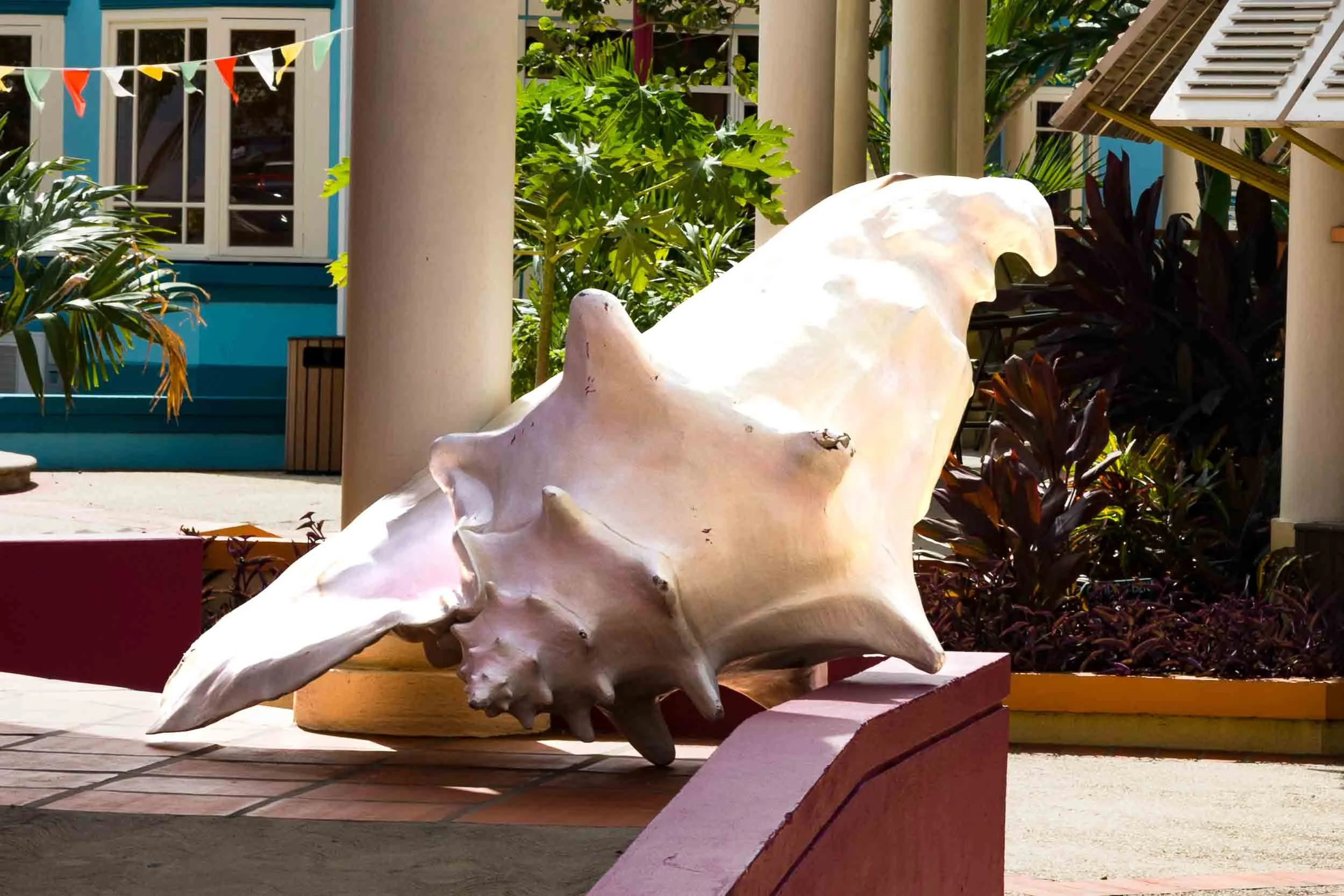 August 21, 2008 - Bridgetown: Conch Shell