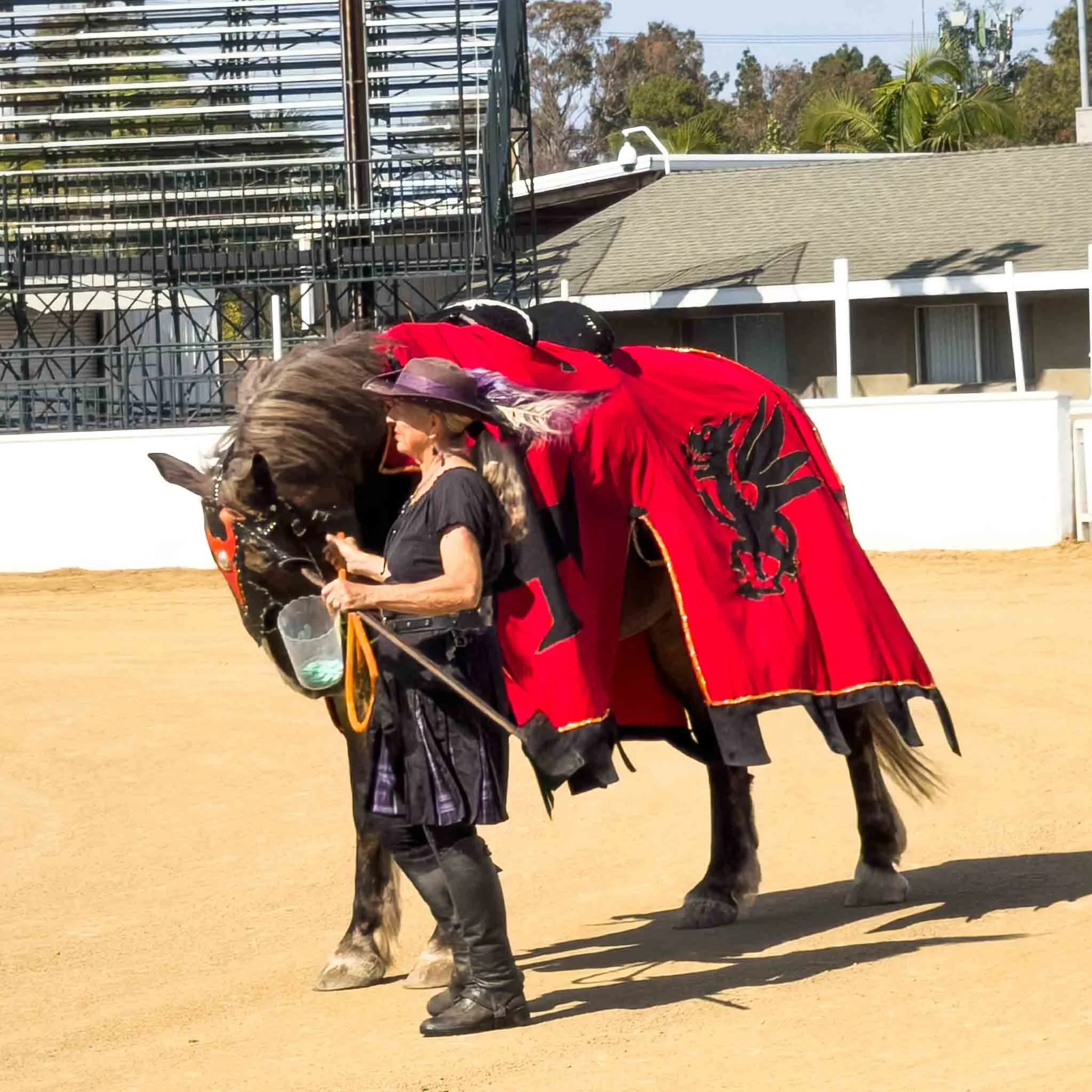 202605231609-IMG_1979-Costa Mesa-Scottish Festival at OC.jpg