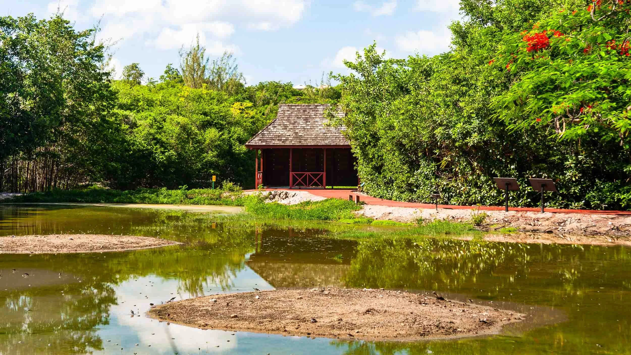 Graeme Hall Nature Sanctuary