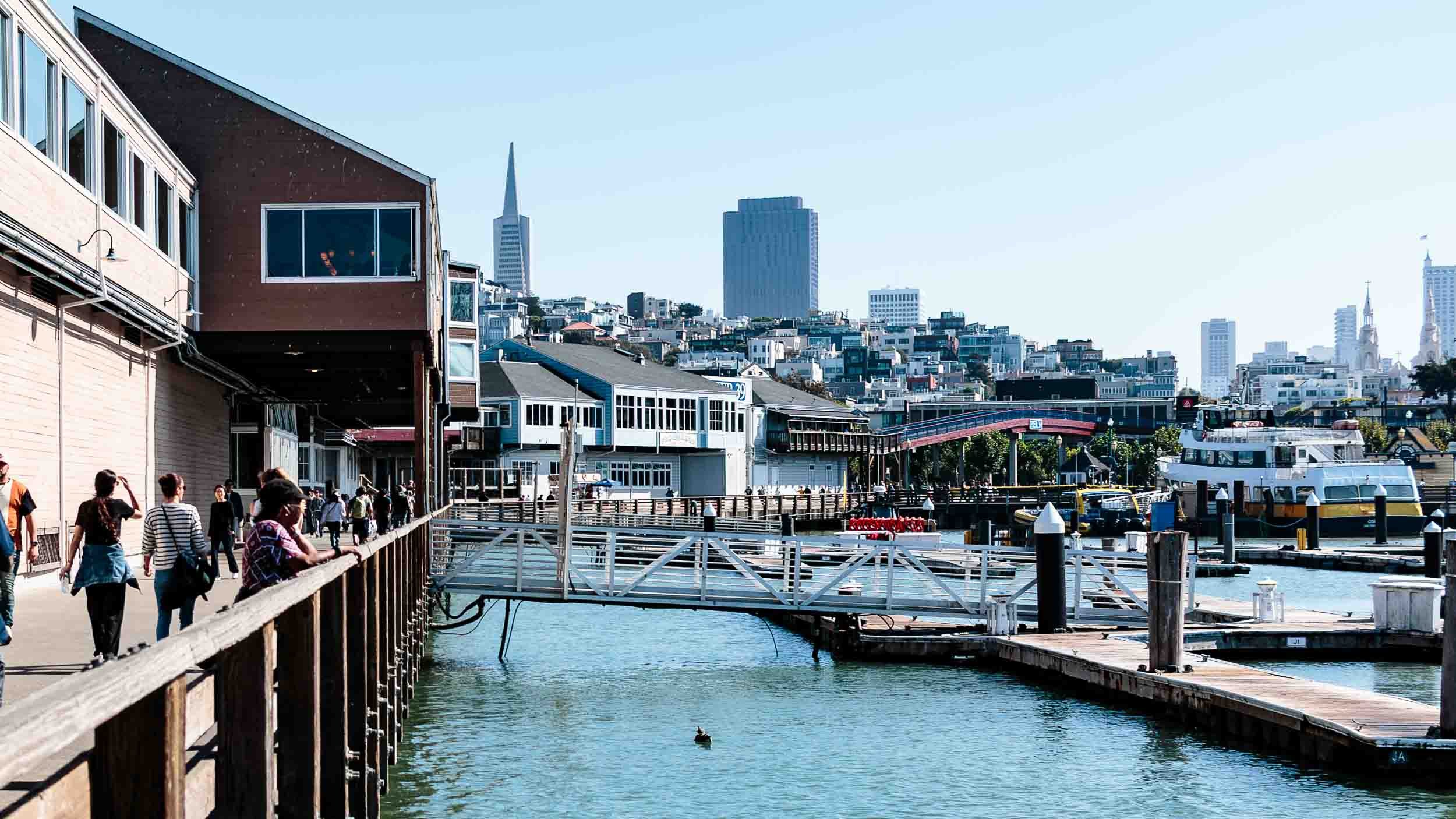 202509261509-IMG_8162-San Francisco-Pier 39.jpg