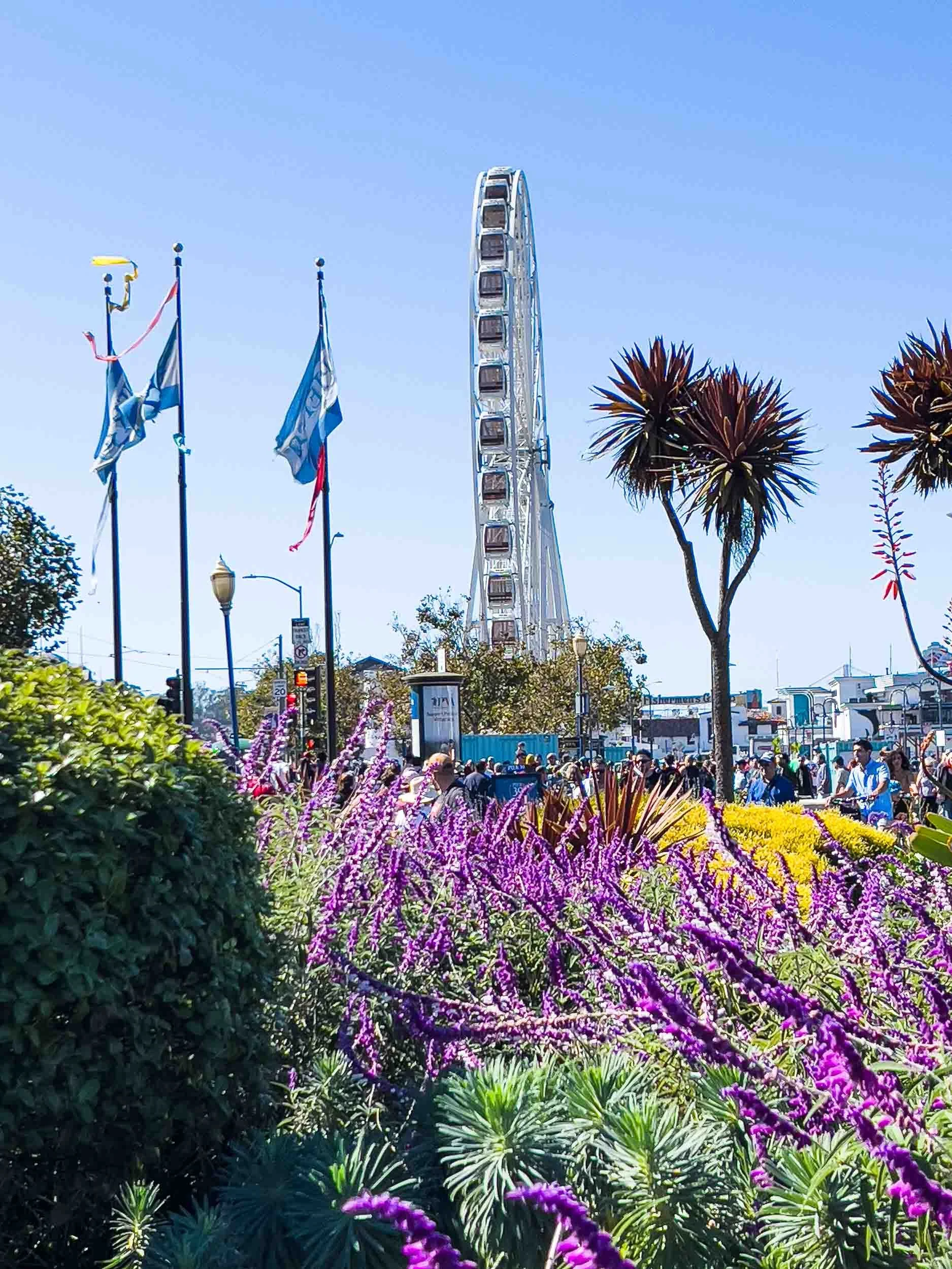 "Big Wheel" near Pier 39, San Francisco.