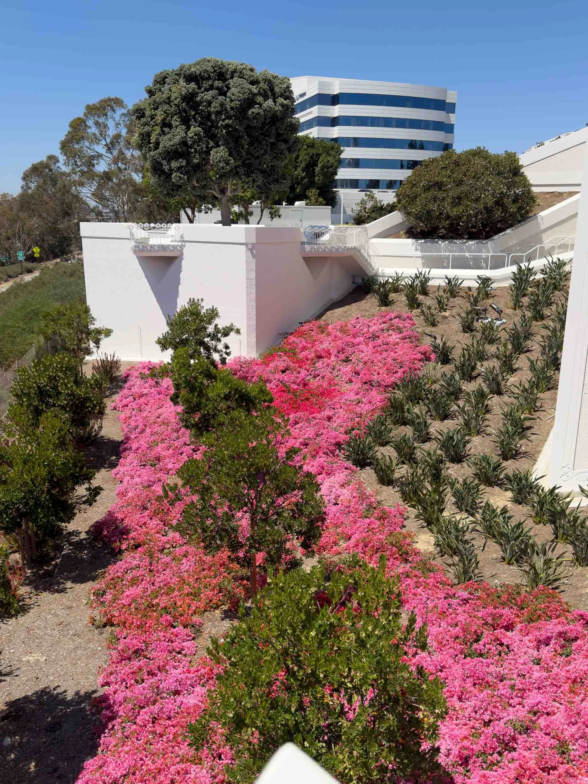 202606251434-IMG_2169-San Diego-Open House at the Mormon Temple.jpg