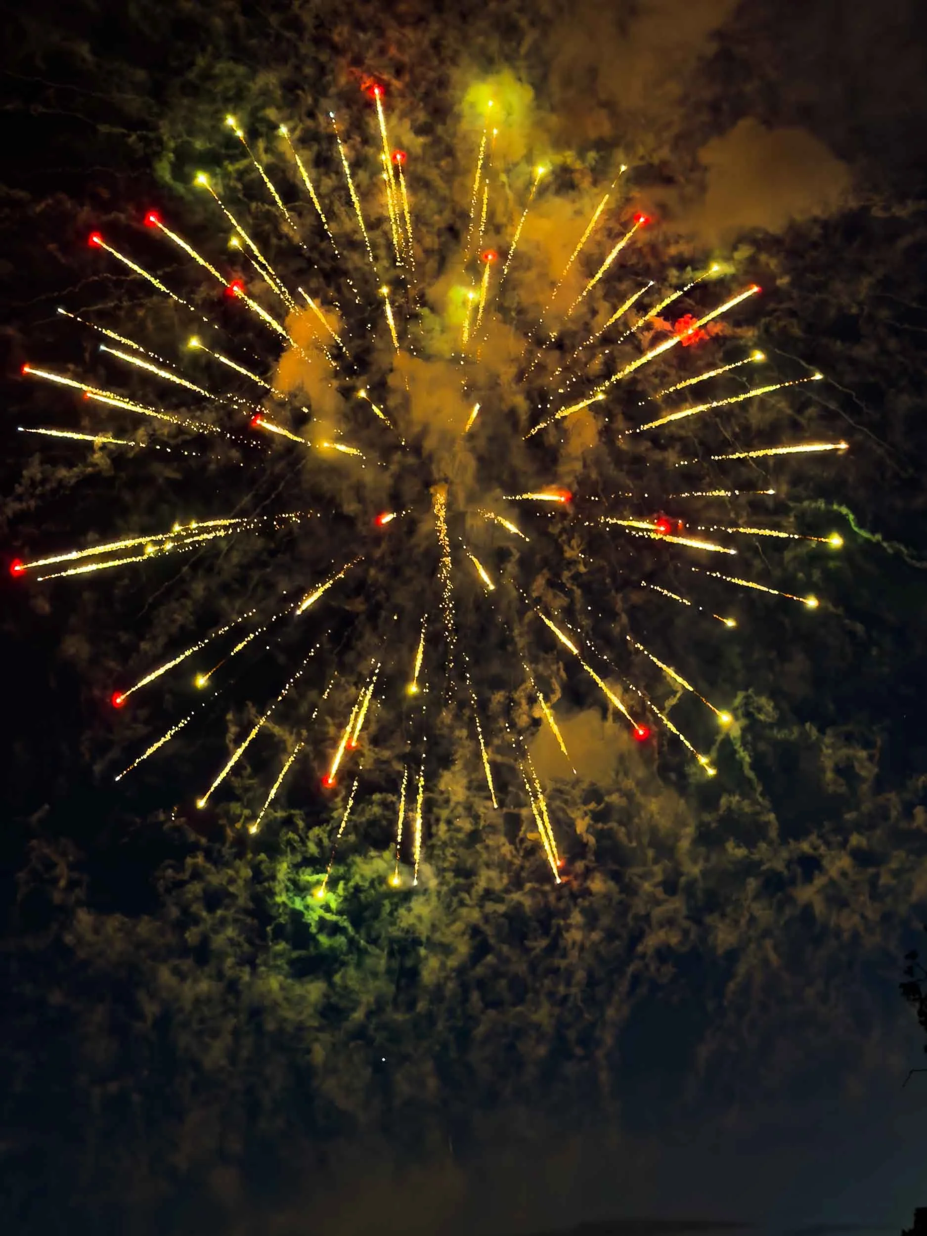 202607042048-IMG_2290-Santa Ana-Centennial Park Fireworks.jpg