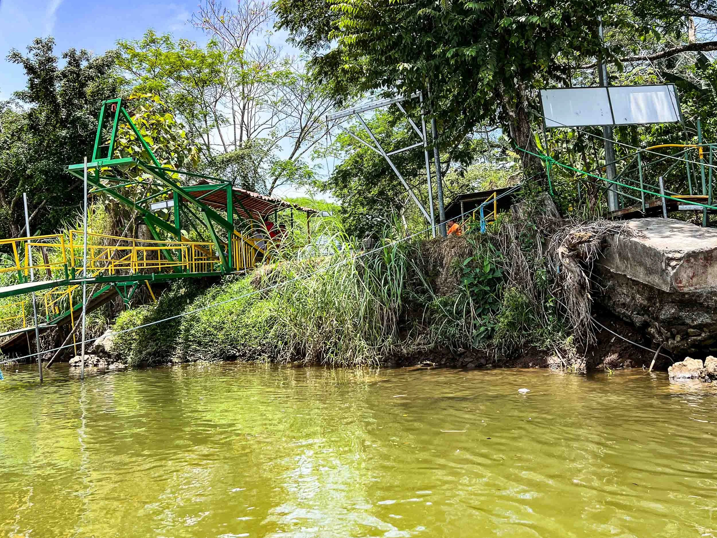 202504221131-IMG_7889-Puntarenas-Crocodile Tour.jpg