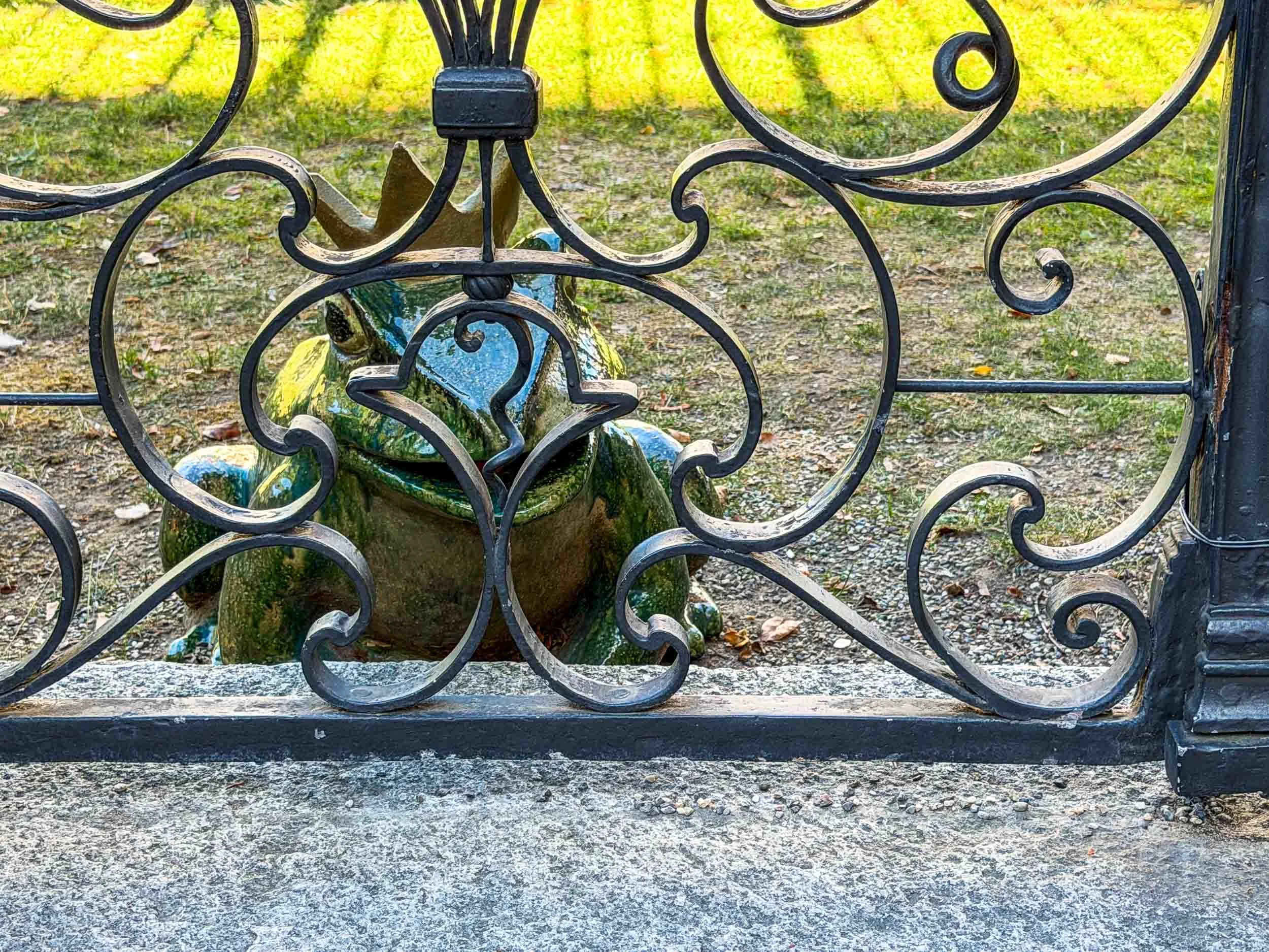 202609221559-IMG_2950-Basel-a frog aawaiting its luck.jpg