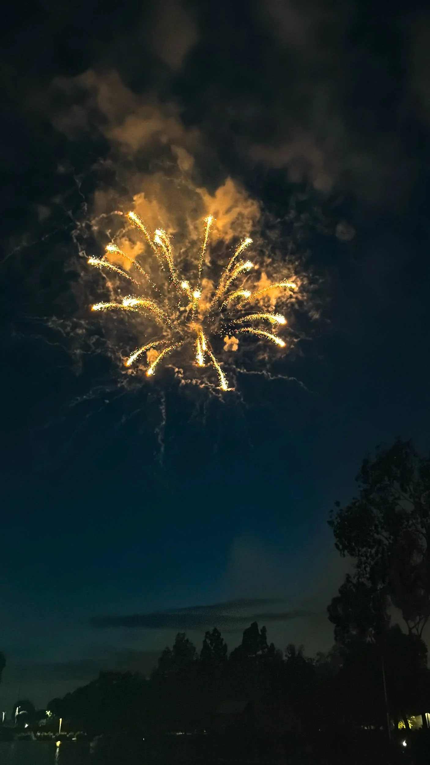 202607042050-IMG_2300-Santa Ana-Centennial Park Fireworks.jpg