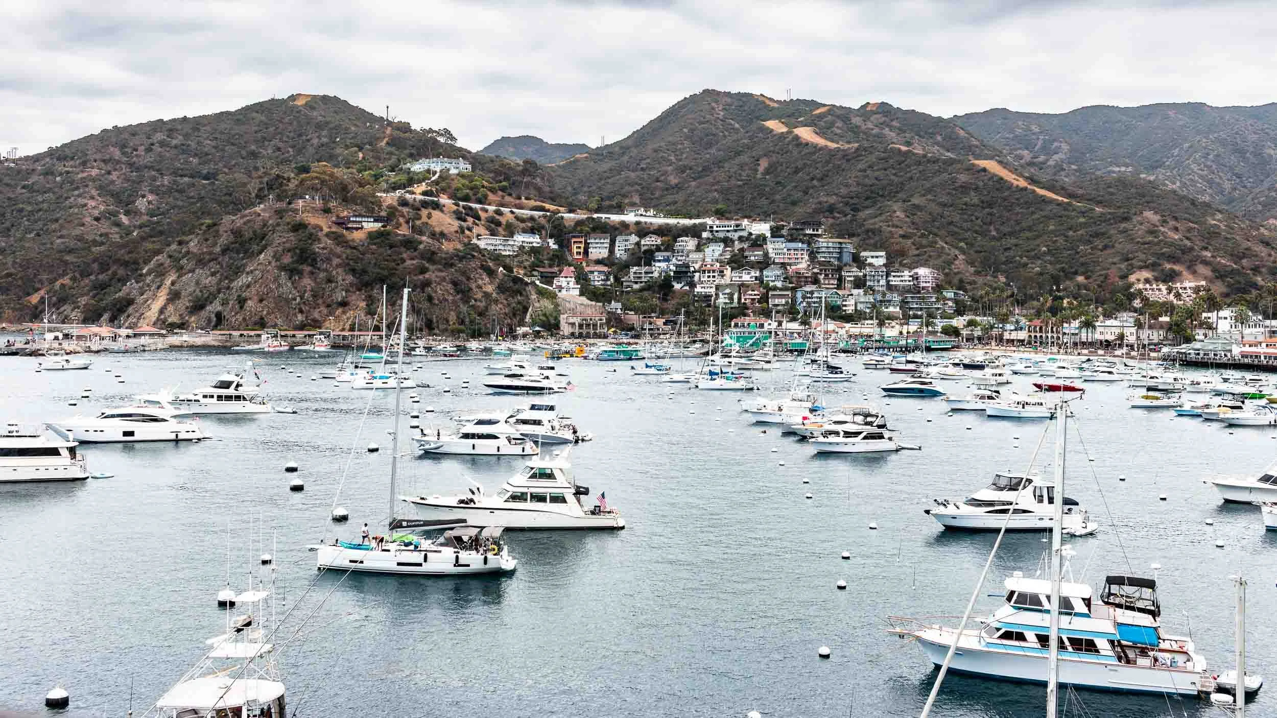 202509281227-IMG_8218-Avalon-Santa Catalina Island.jpg