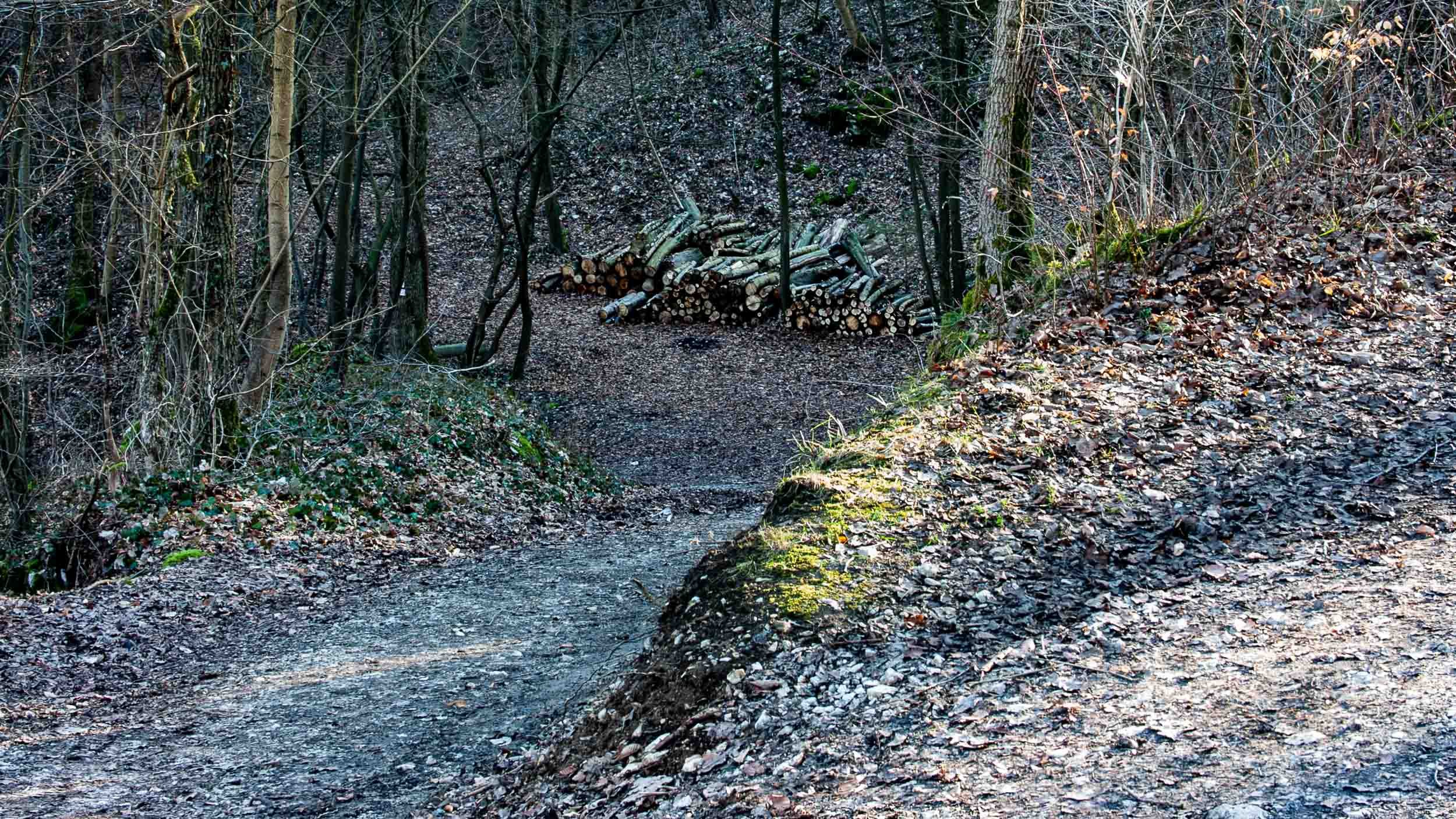 Hiking Neideck Castle Ruins 2