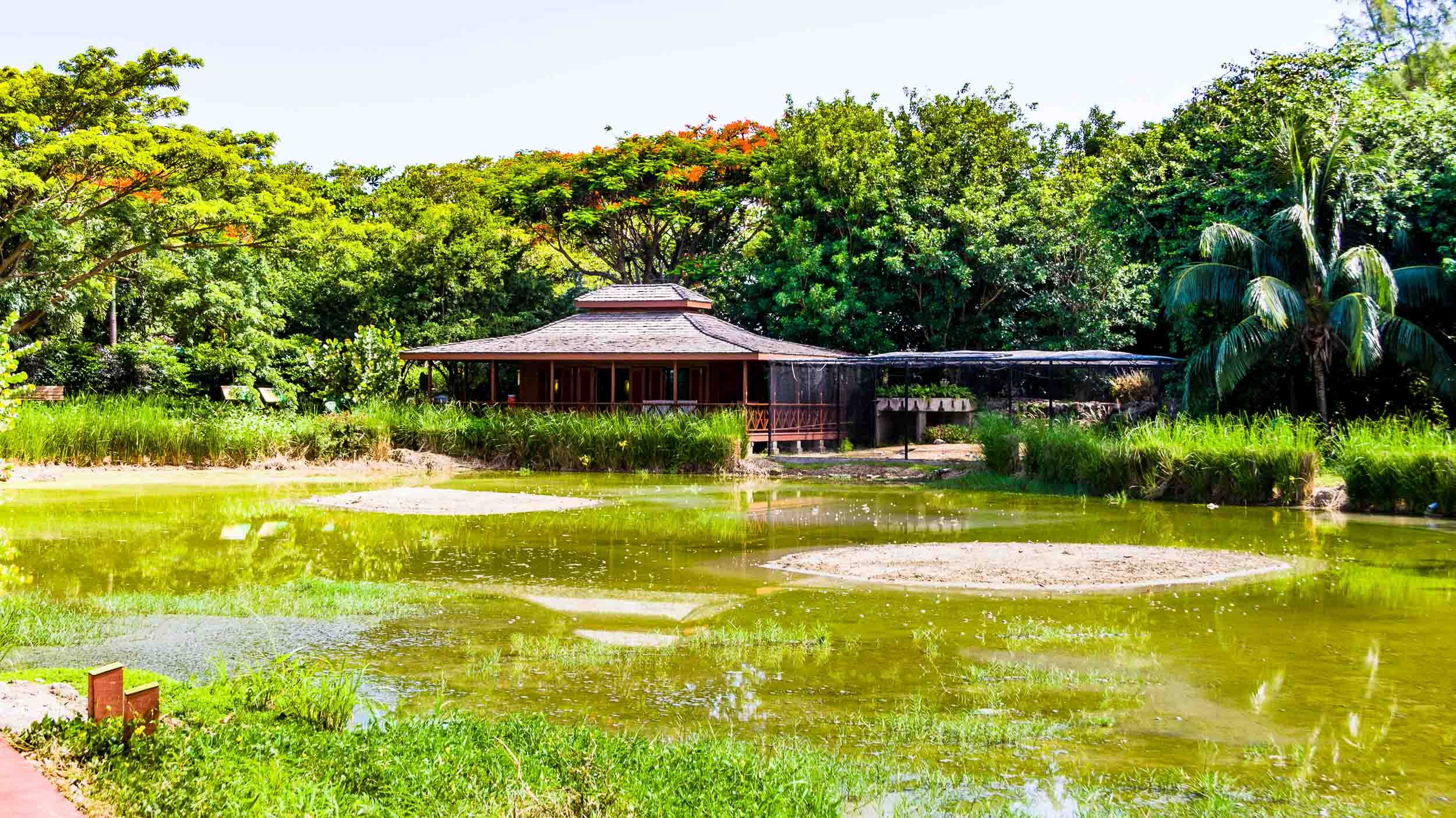 200808181442-IMG6955-Bridgetown-Graeme Hall Nature Sanctuary - Barbados 2008.jpg