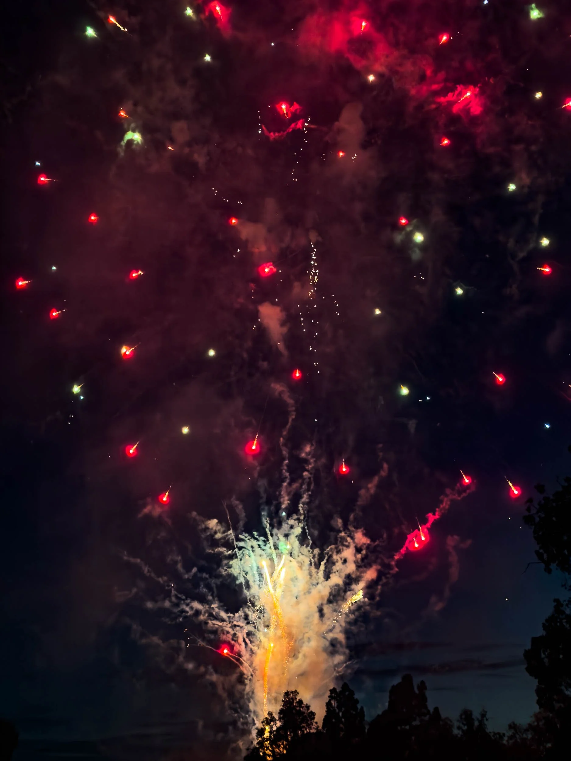 202607042048-IMG_2294-Santa Ana-Centennial Park Fireworks.jpg