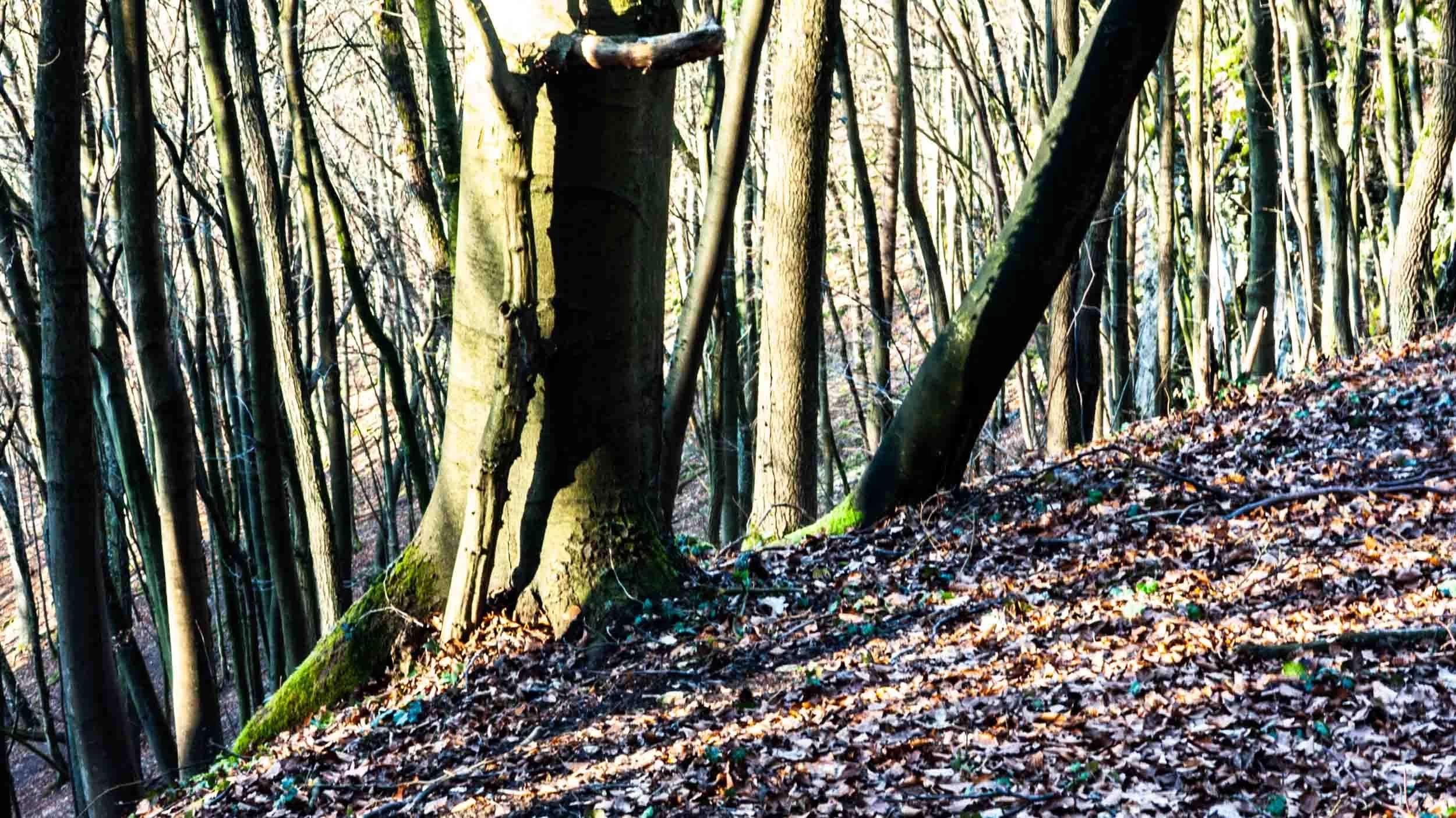 Hiking Neideck Castle Ruins 1