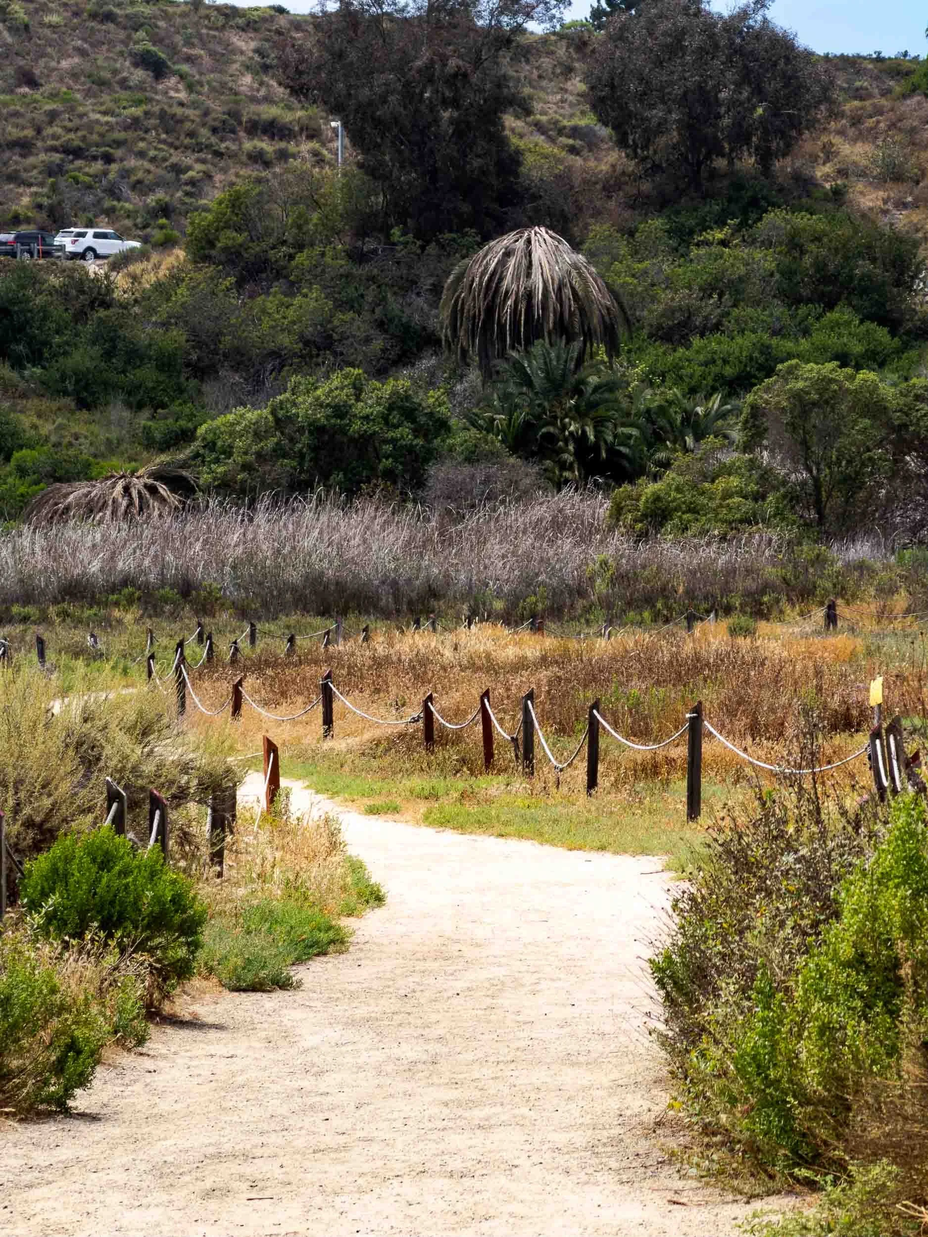 The Northshore Trail