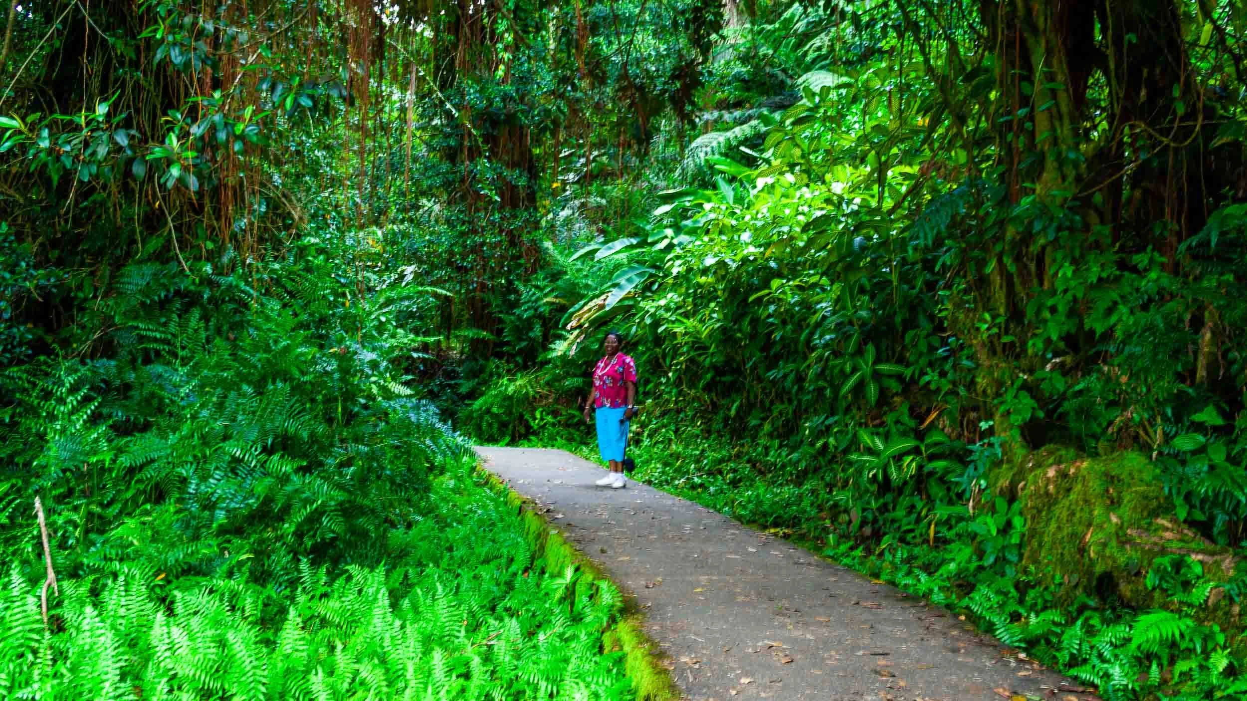 20060718-IMG0521-Akaka Falls State Park-Big Island-exb001.jpg