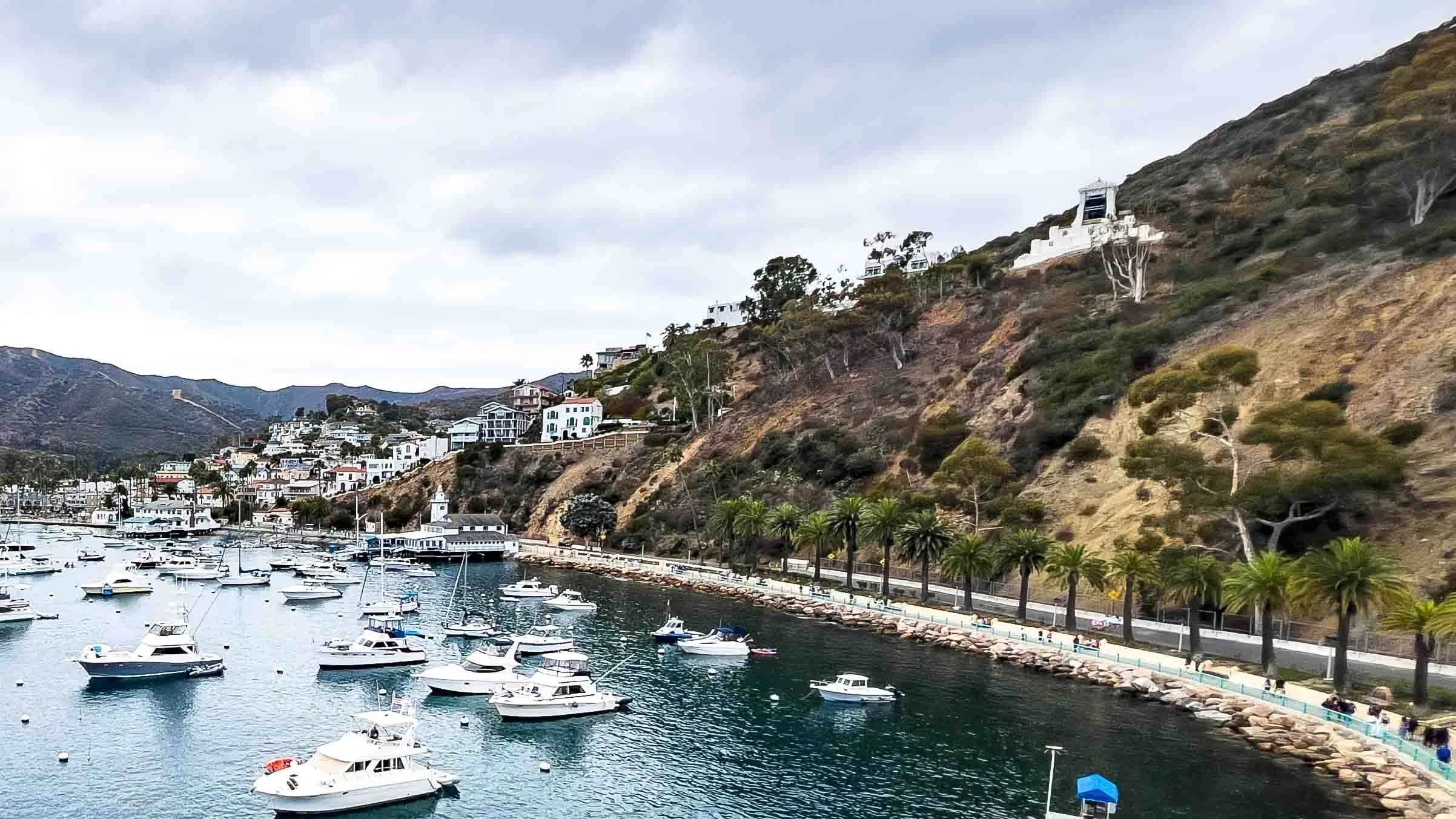 202509281227-IMG_8751-Avalon-Santa Catalina Island.jpg