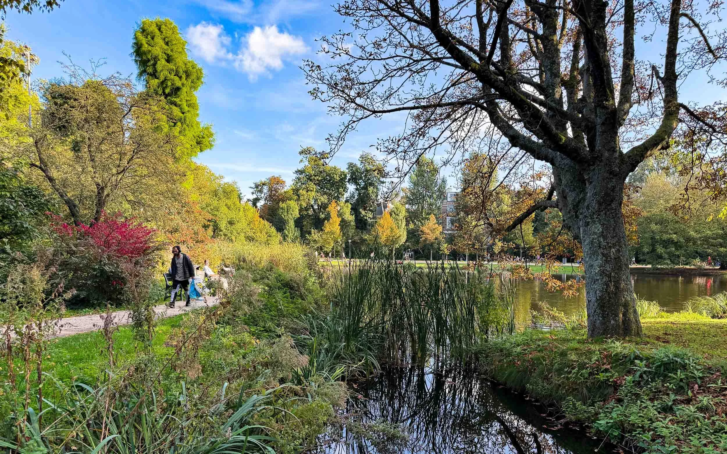 202610021705-IMG_3747-Amsterdam-Vondel Park 2.jpg