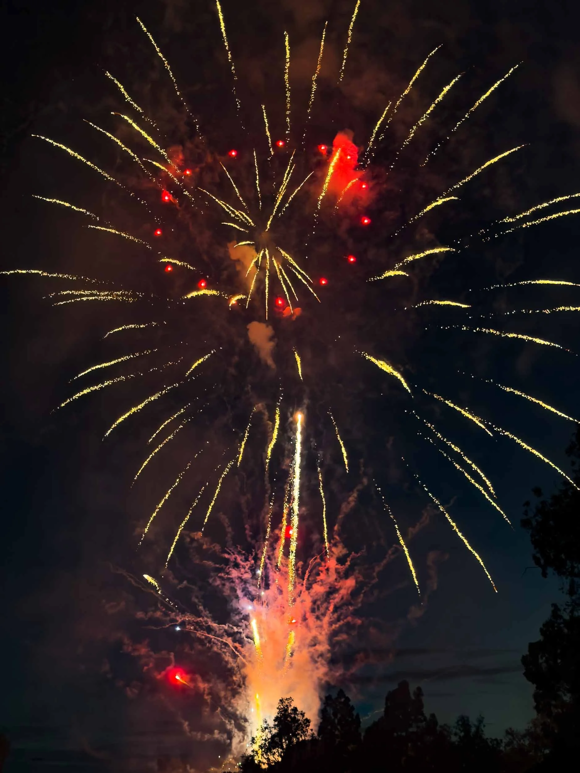 202607042048-IMG_2293-Santa Ana-Centennial Park Fireworks.jpg