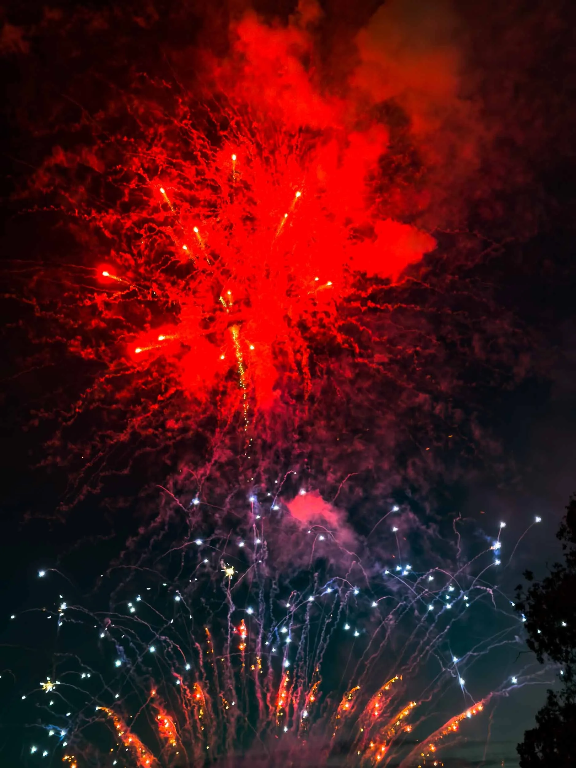 202607042047-IMG_2288-Santa Ana-Centennial Park Fireworks.jpg