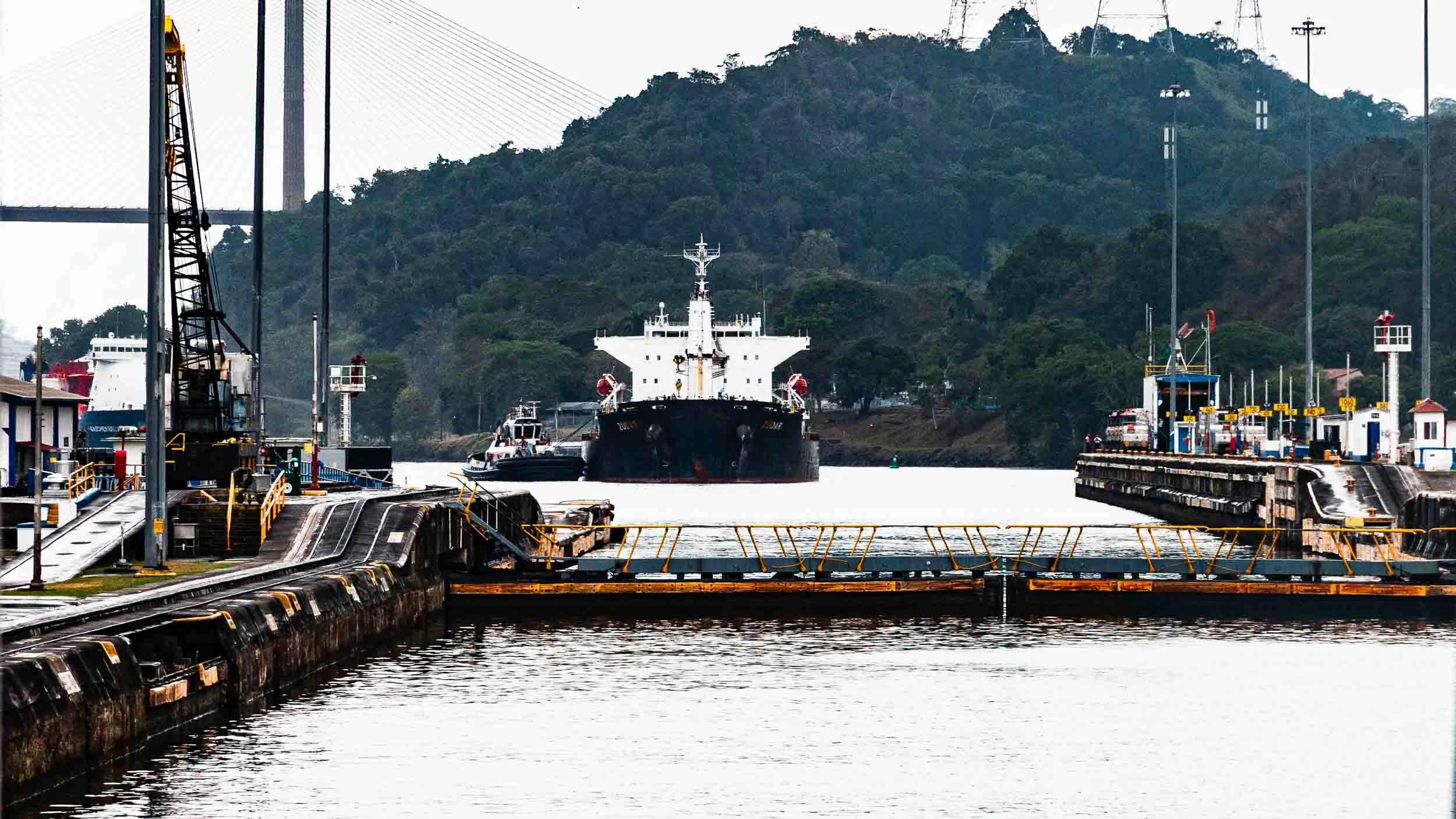 We are in the Pedro Miguel Locks and waiting for the large cargo ship to join us to make the ride through the locks more cost effective.