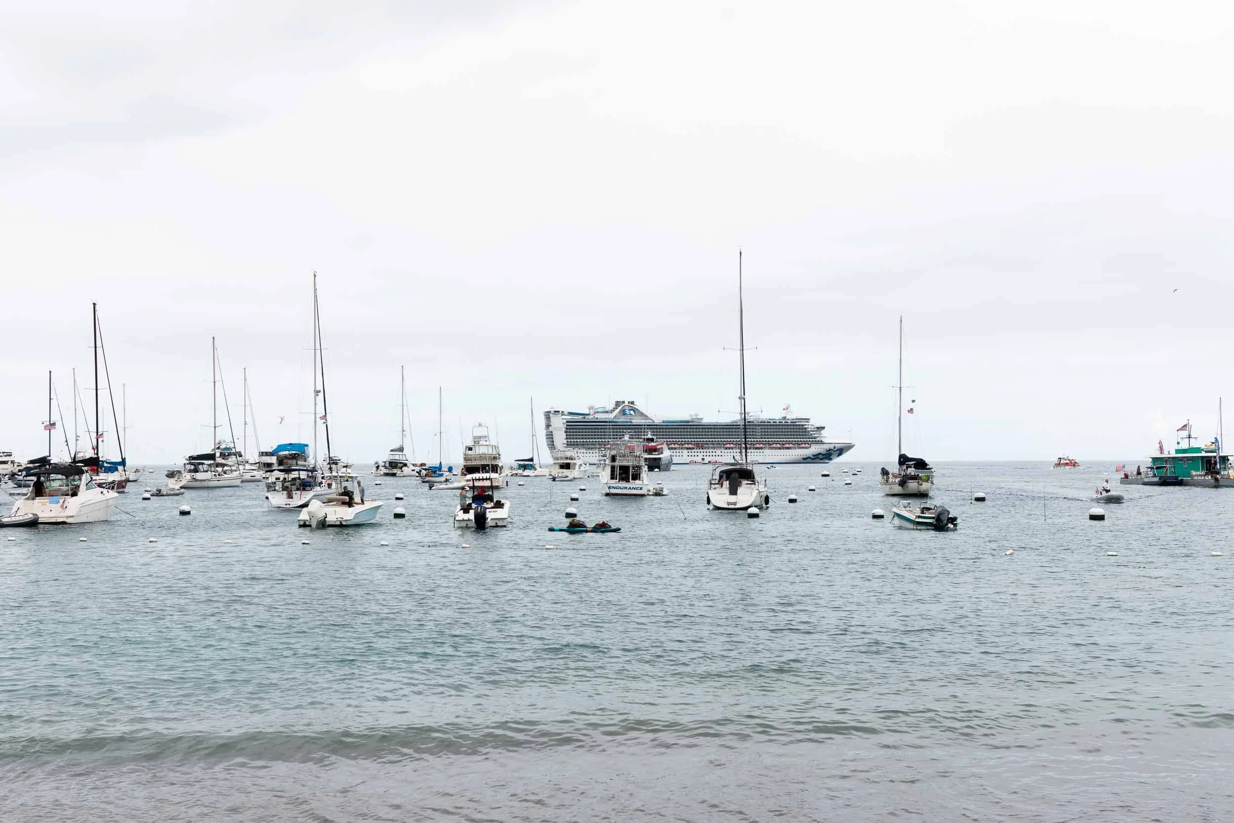 202509281118-IMG_8190-Avalon-Santa Catalina Island.jpg