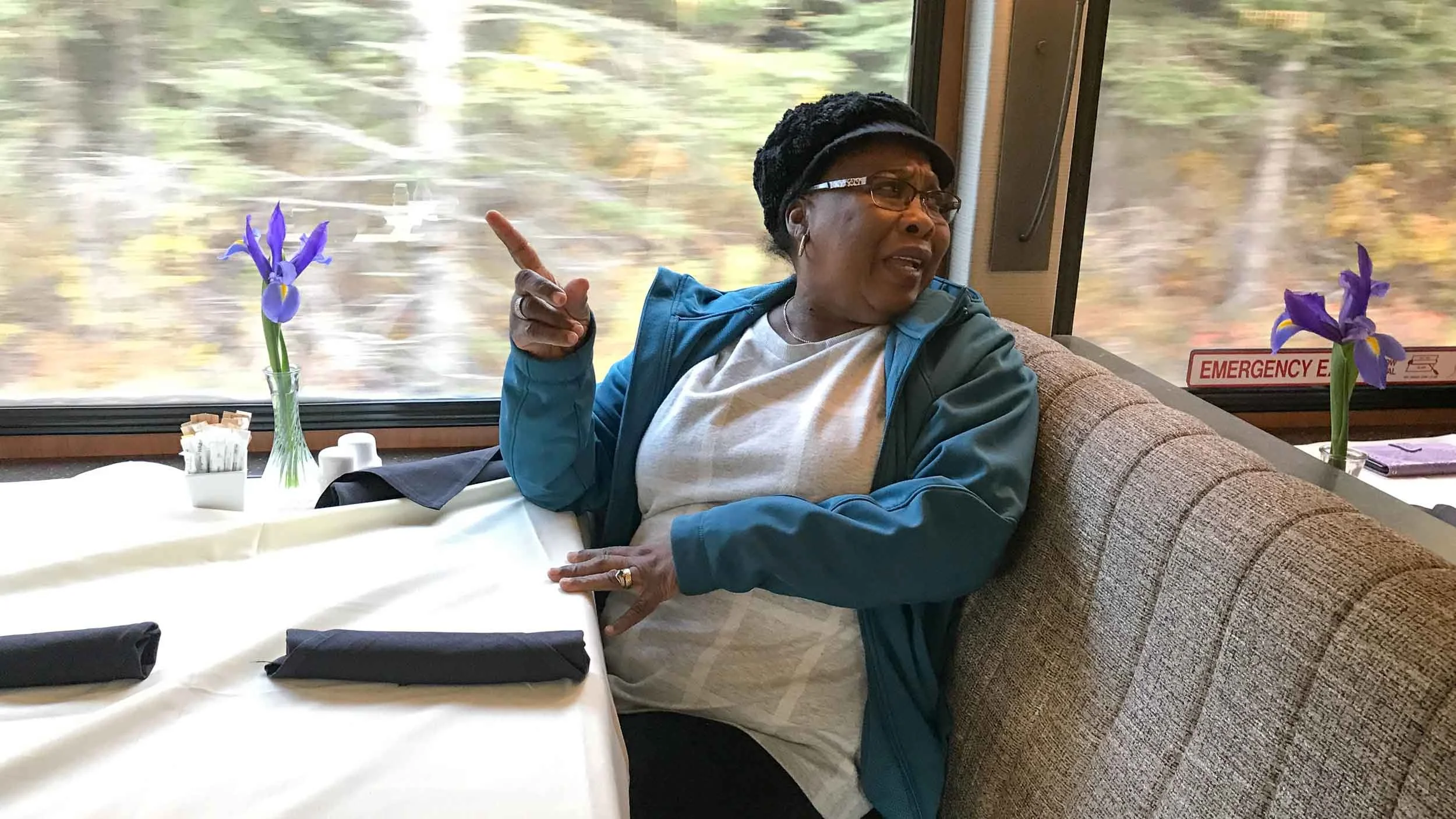 On the way from Denali to Anchorage (Whittier) on a nine hour journey on a glass-domed train.