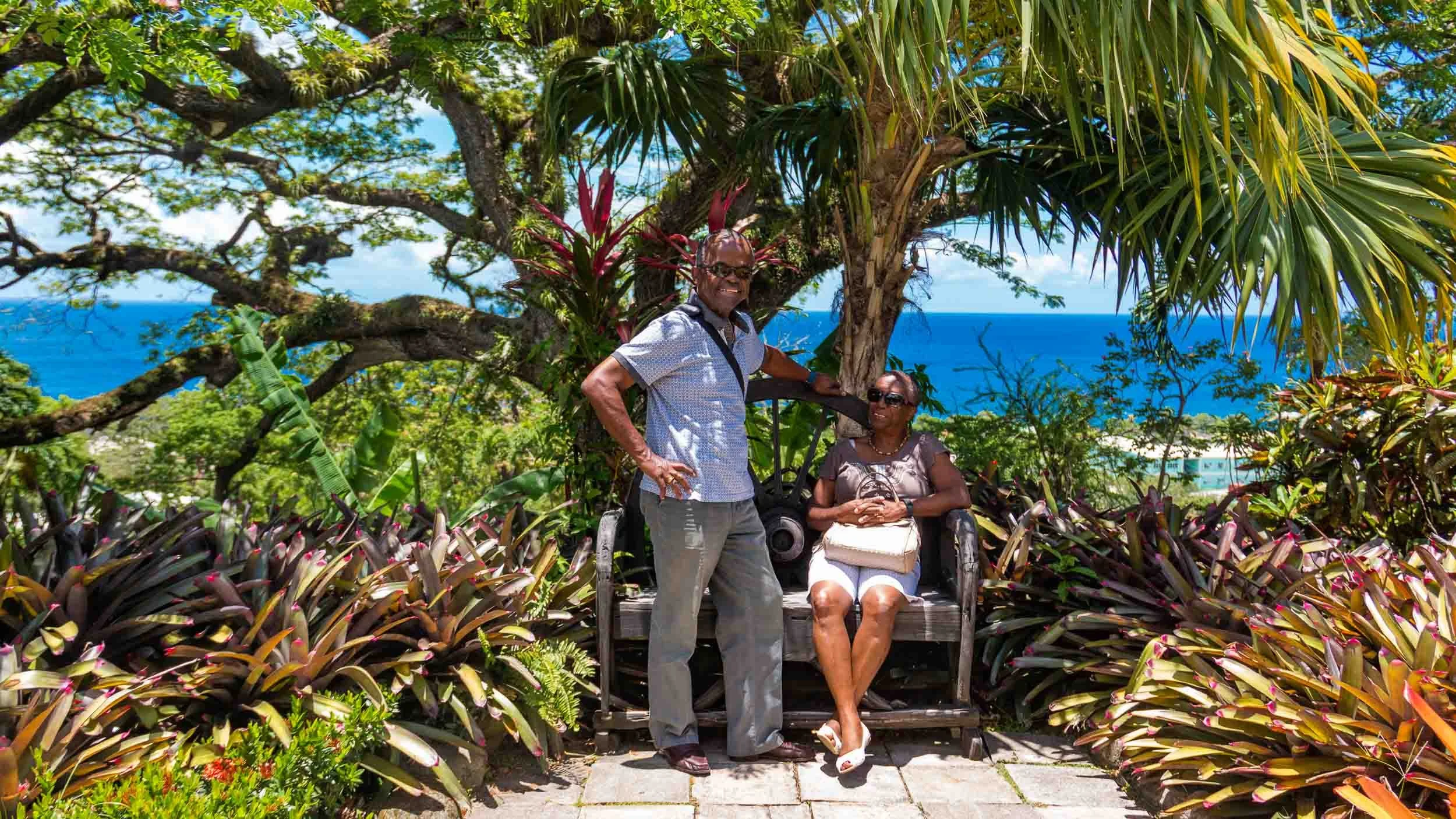 Catching some shade at the Romney Manor. May 5, 2017.
