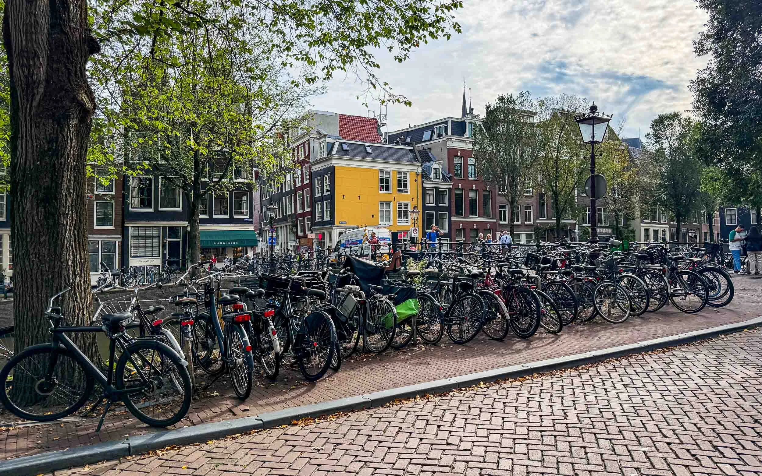 202609301217-IMG_3598-Amsterdam-Bicycles all over.jpg