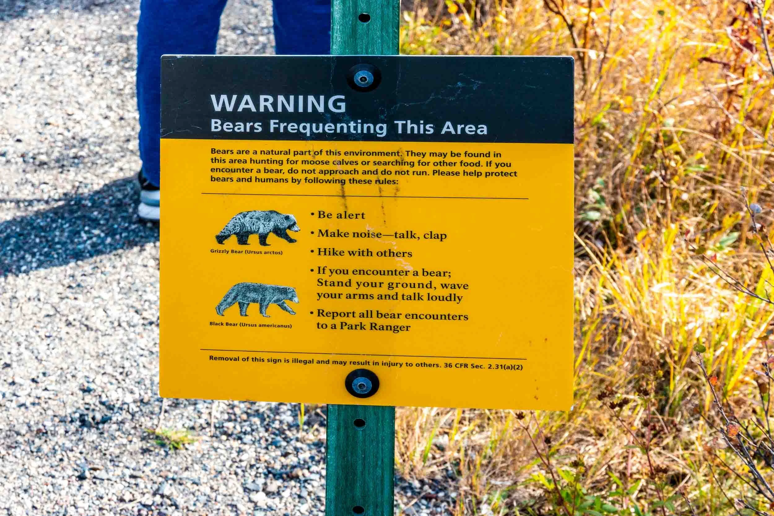 A sign to be taken seriously. Bears are really around the area.