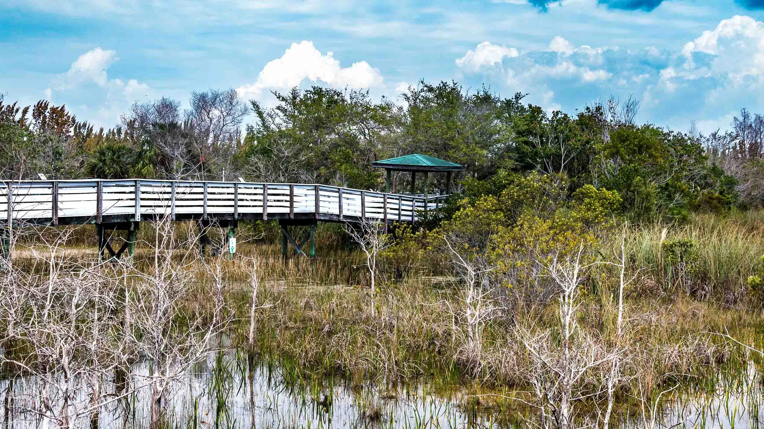 20240318-IMG_5868-Chapel Trail Nature Preserve-Pembroke Pines-exb001.jpg
