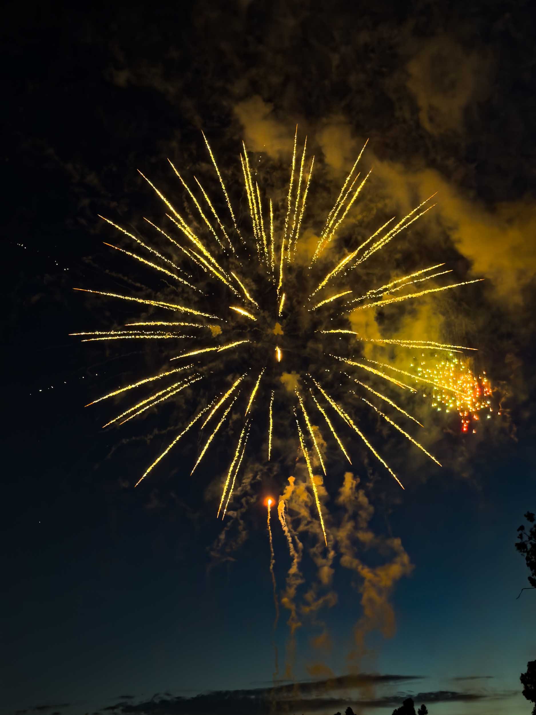 202607042045-IMG_2282-Santa Ana-Centennial Park Fireworks.jpg