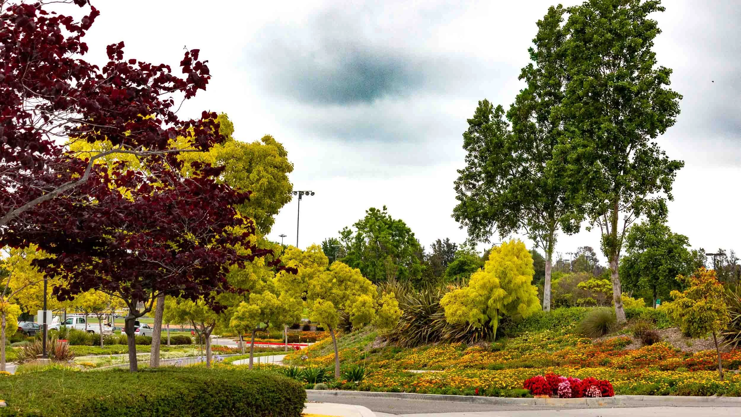 20230522-IMG_4624-Springtime in the park-Fountain Valley-exb001.jpg
