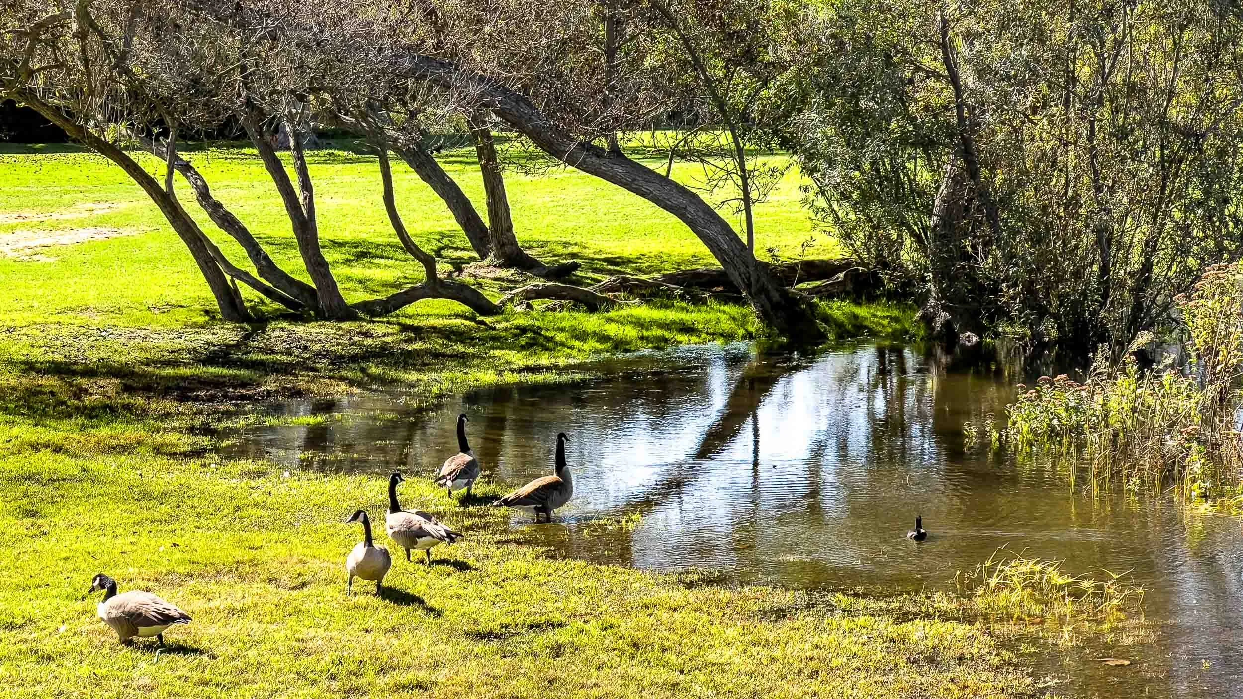 October 19, 2024: Huntington Beach Central Park.