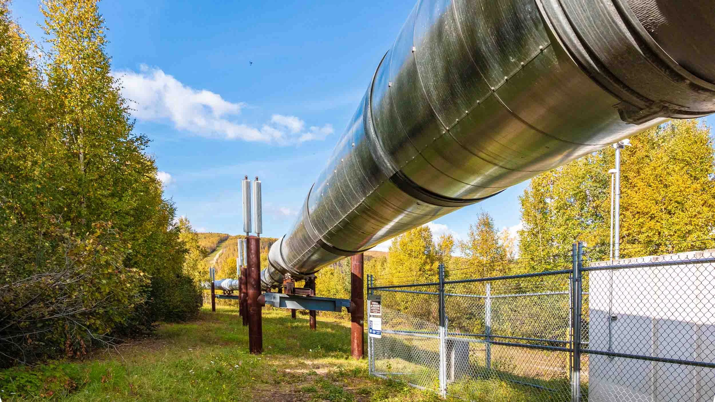 A very small portion of the Alaskan pipeline as it passes through Fairbanks. Its total length is 800 miles and it has a 48-inch diameter.