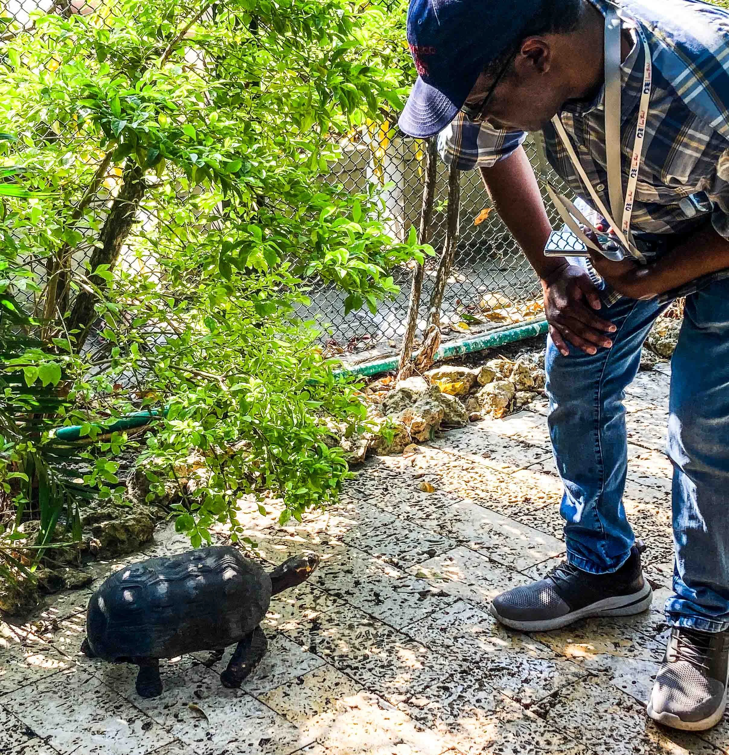 Red-footed Tortoise. Locally known in Colombia as Morrocoy. (Photo by DJ)
