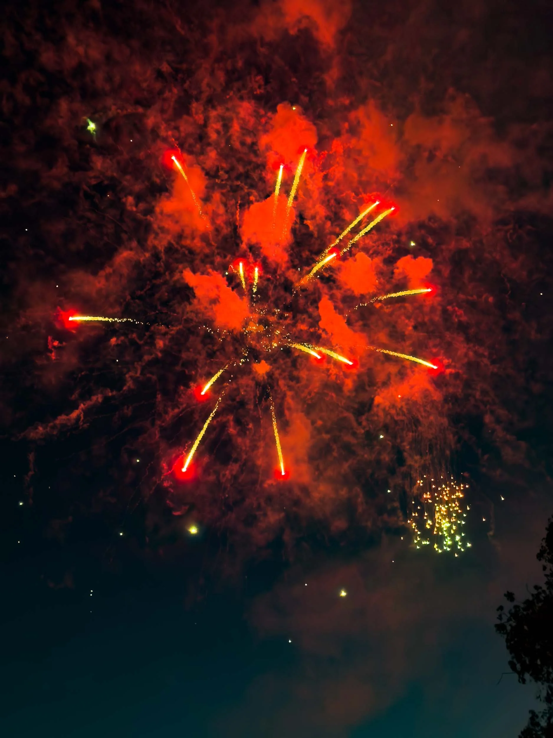 202607042047-IMG_2285-Santa Ana-Centennial Park Fireworks.jpg