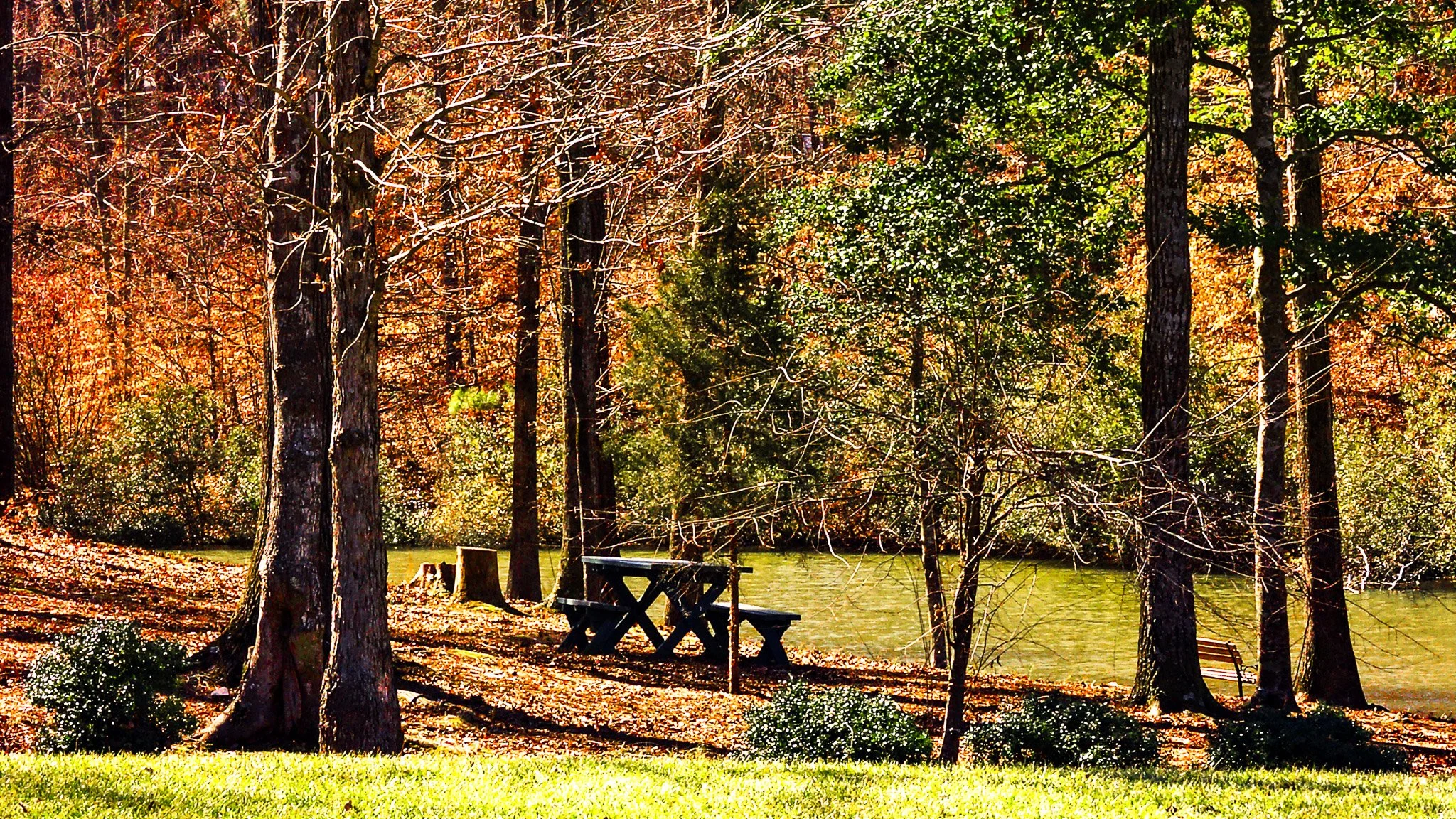 20040225-0025-Cary-Coming into Spring.jpg