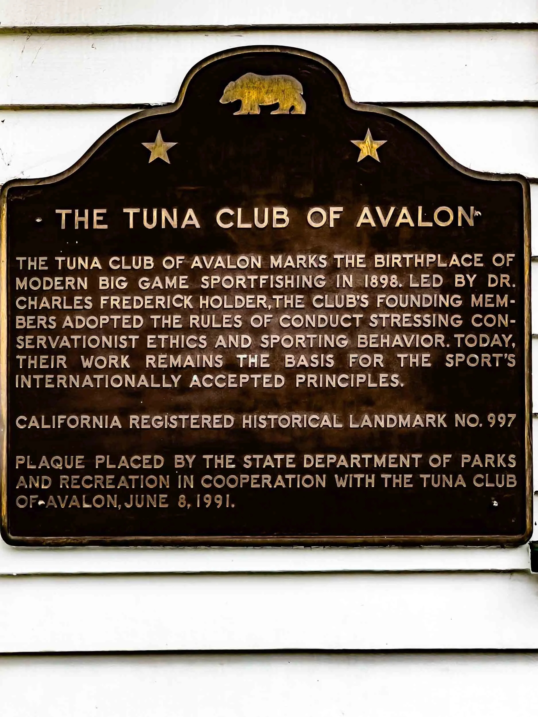 202410061020-IMG_6541-Avalon-Port stop in Catalina.jpg