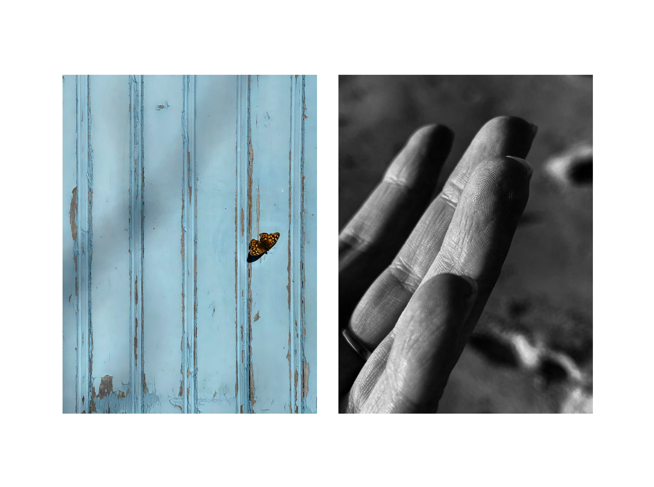 Capture d’écran 2025-05-12 à 23.51.55.png