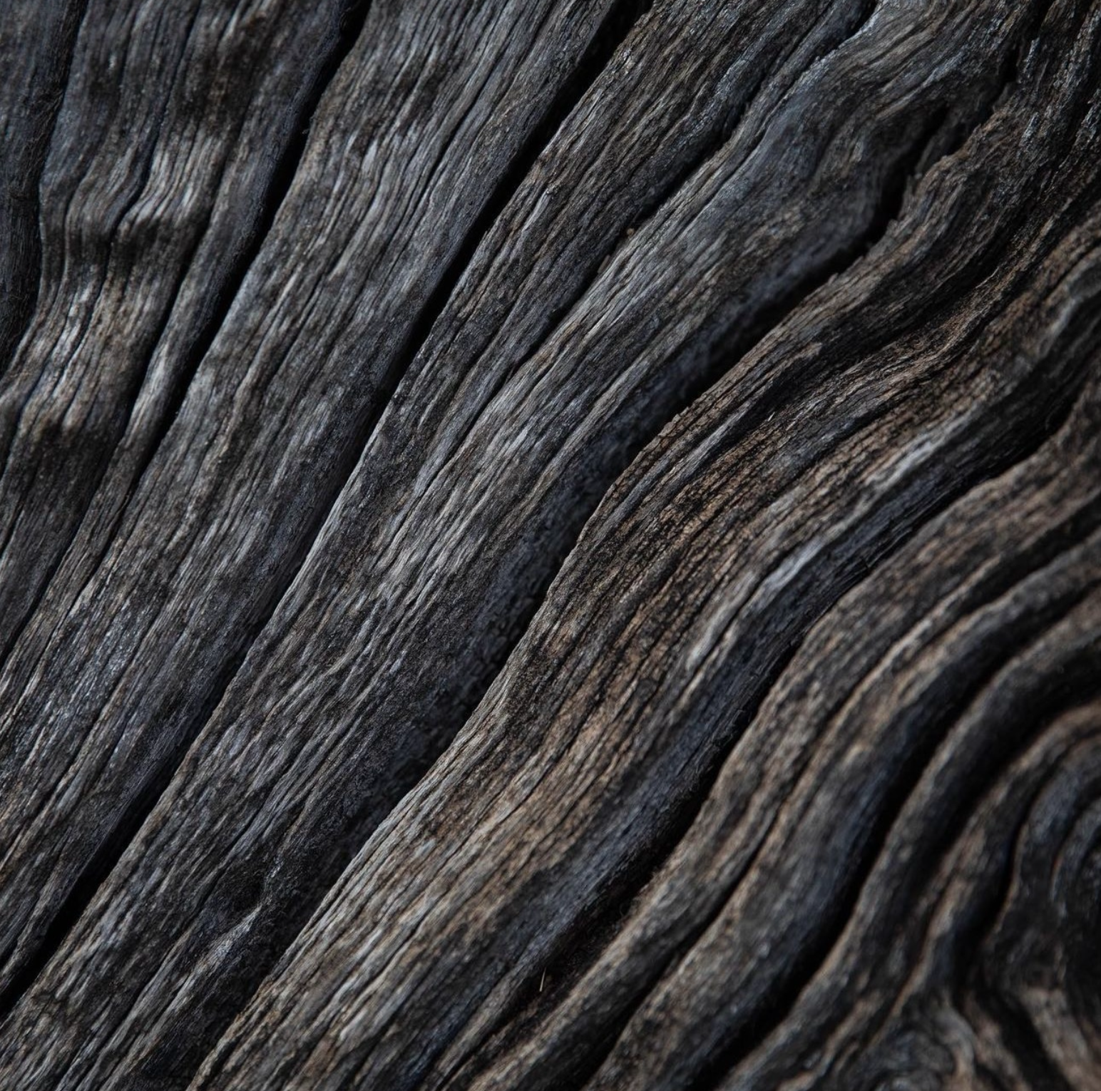 Capture d’écran 2026-04-10 à 17.08.39.png