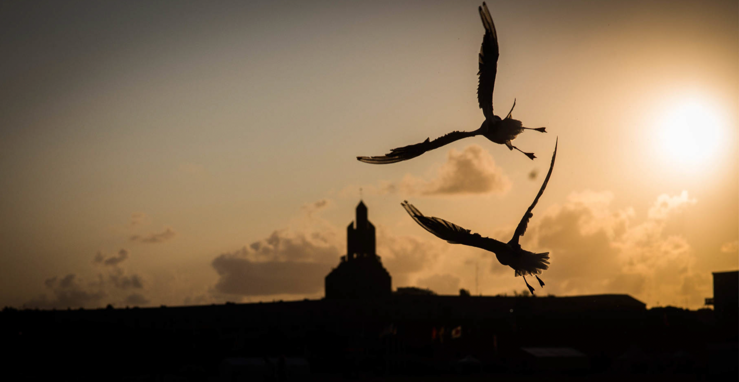 Capture d’écran 2025-09-28 à 12.13.25.png