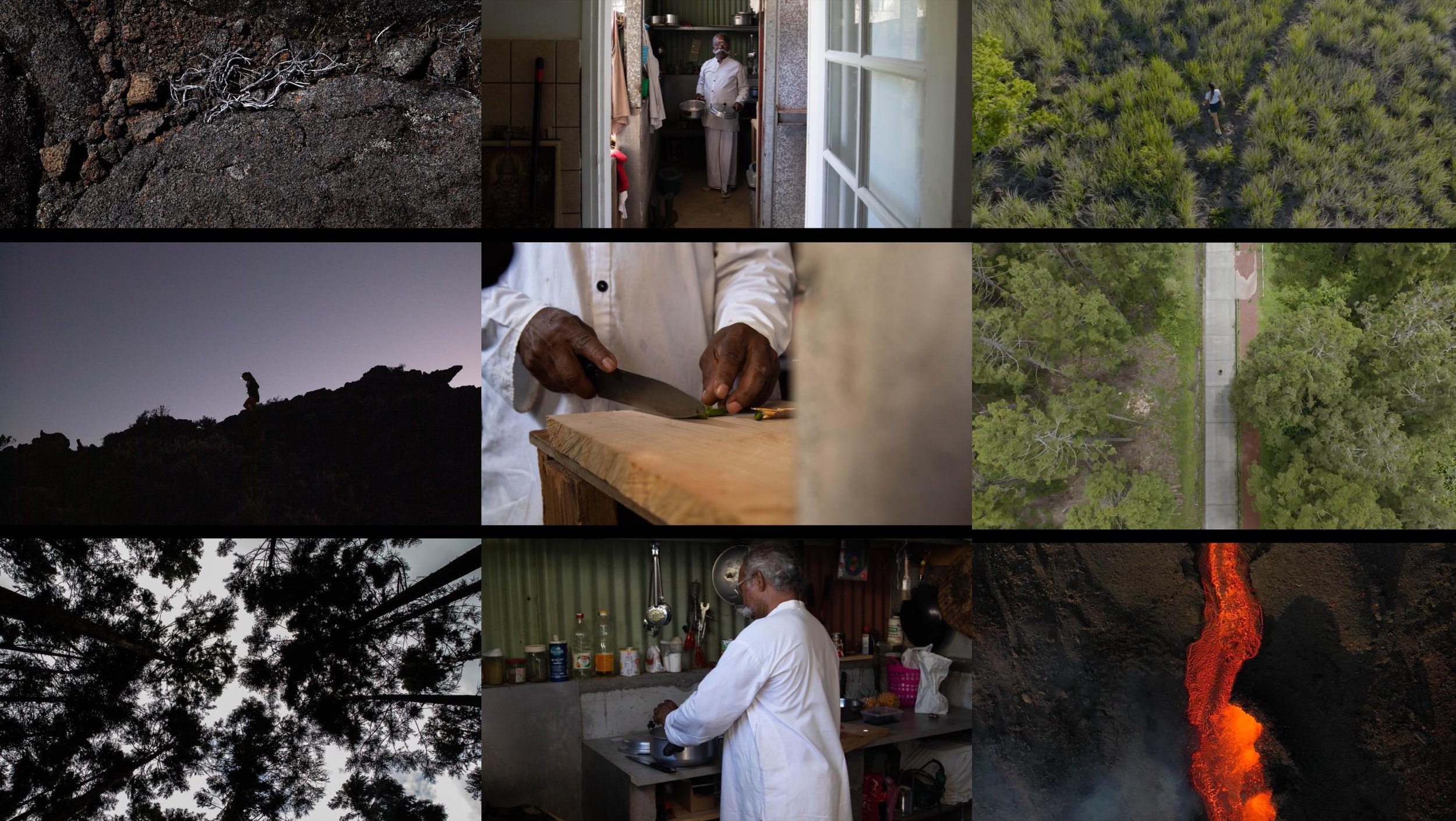 A collage of nine images depicting various scenes: close-up of soil and roots; a man in a kitchen holding a metal bowl; a person walking through a lush green park from above; a silhouette of a person hiking on a hill at dusk; a person chopping vegetables in a kitchen; a view of a tree-lined street from above; tree branches silhouetted against the sky; a man cooking in a kitchen; an erupting volcano with flowing lava.