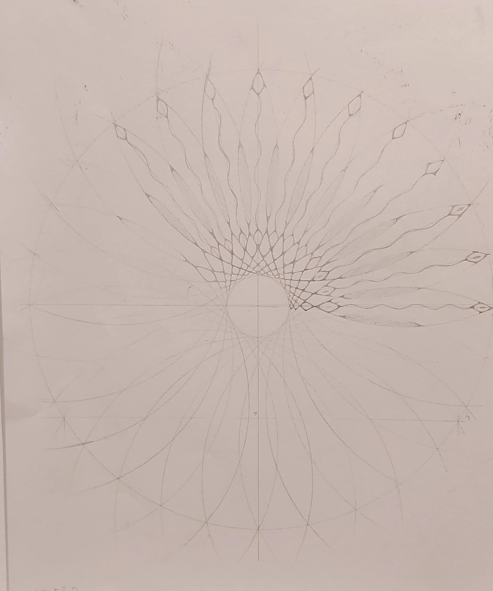 20260331_154924.jpg