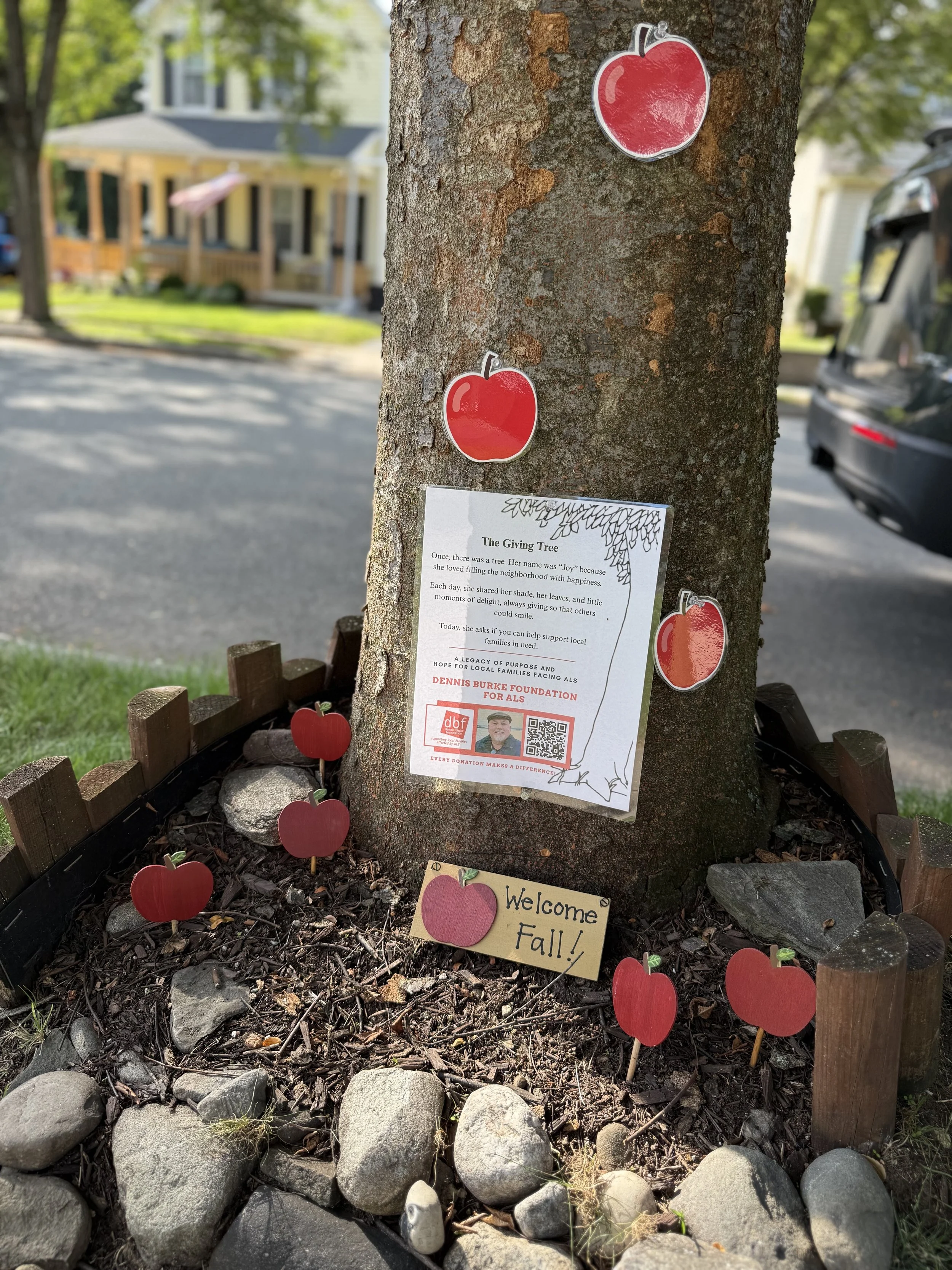 Meet Joy, Our Giving Tree