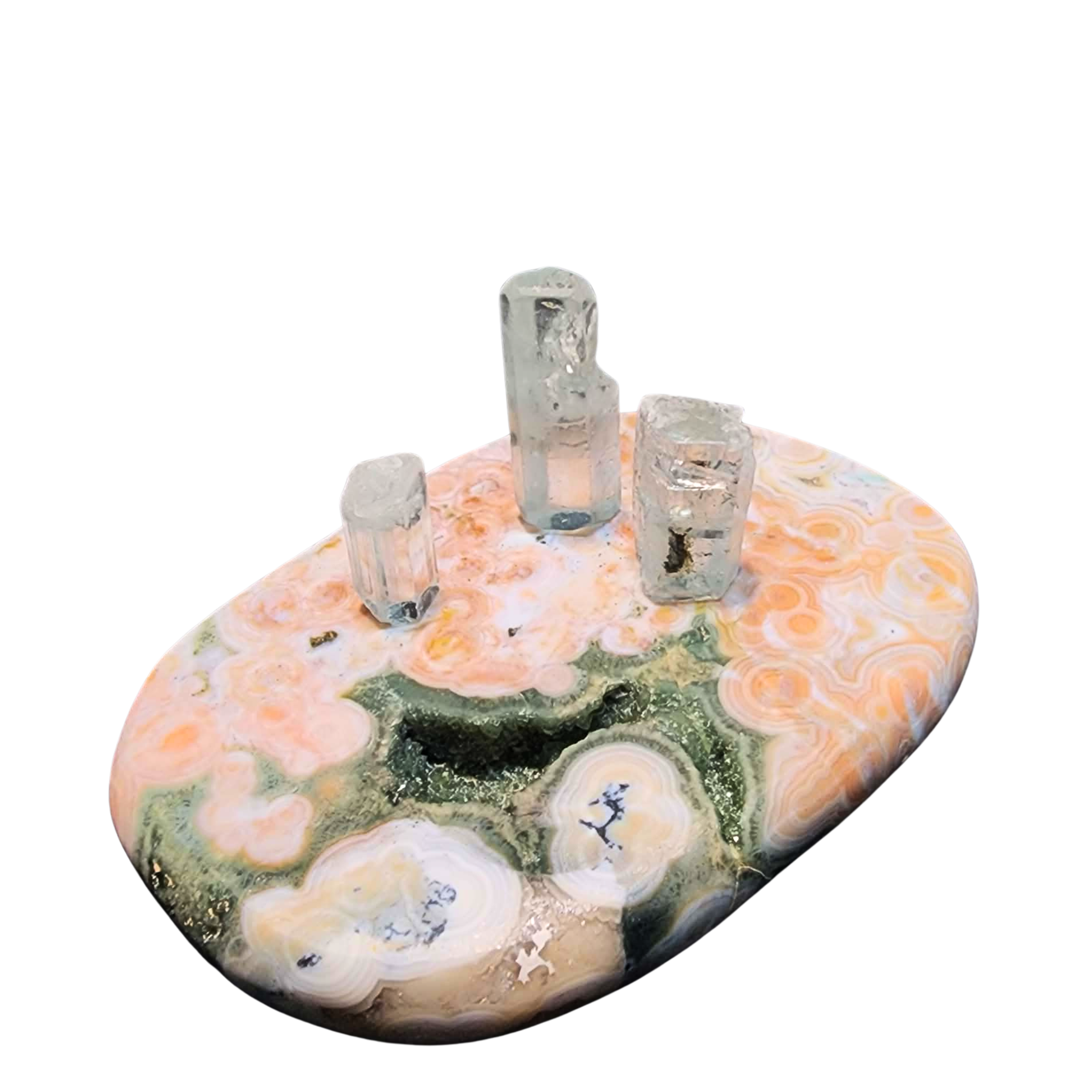《珊瑚光域》Coral Light Field