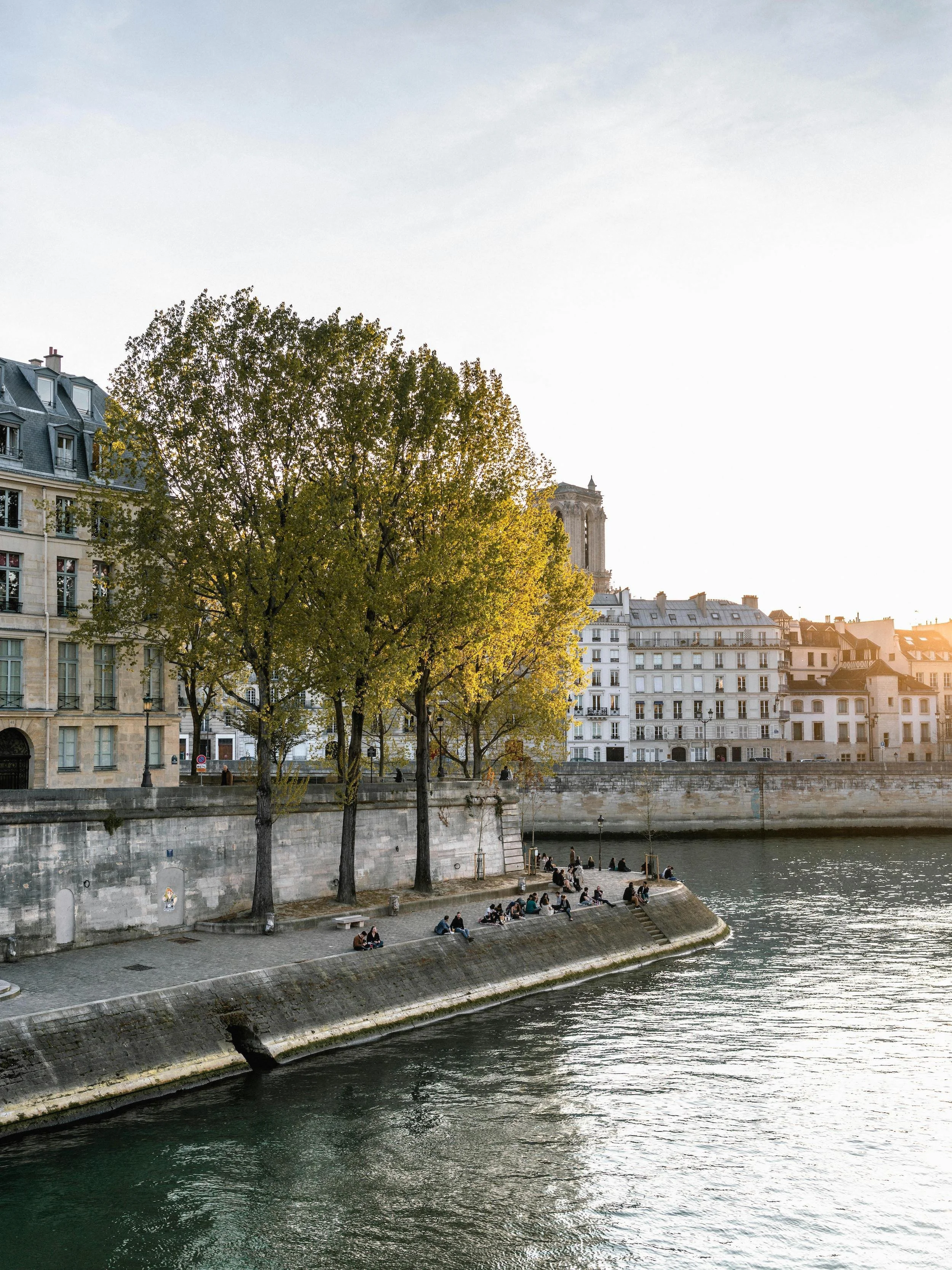View of a riverbank in Paris with people sitting along the edge, trees with green leaves, and historic buildings in the background during sunset.