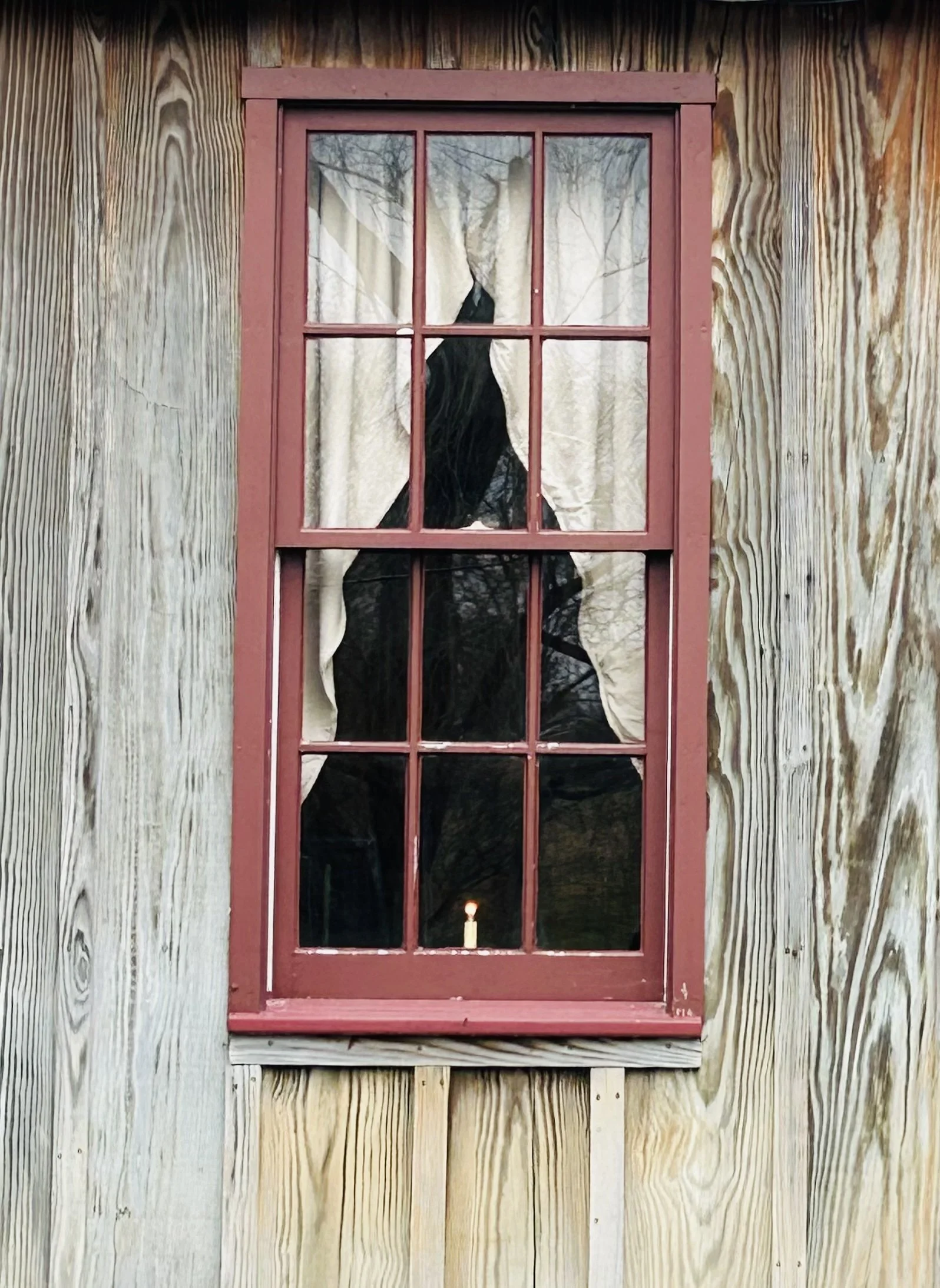 A wooden building with a red-framed window. The window has nine panes and a white curtain with a black silhouette of a dog looking out. Outside, there are trees reflected in the glass. A small candle is on the windowsill inside.