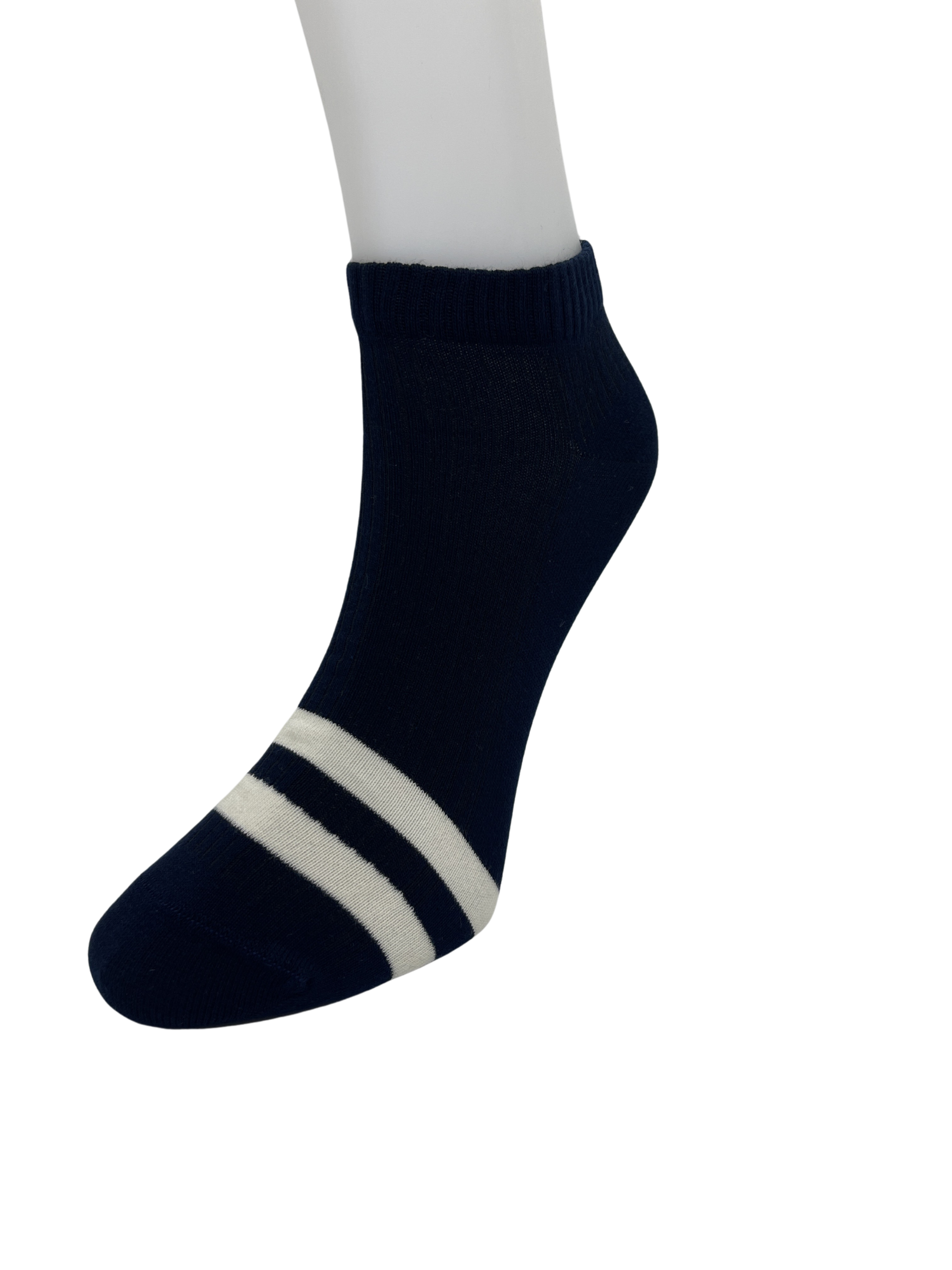 Untitled design (1).png