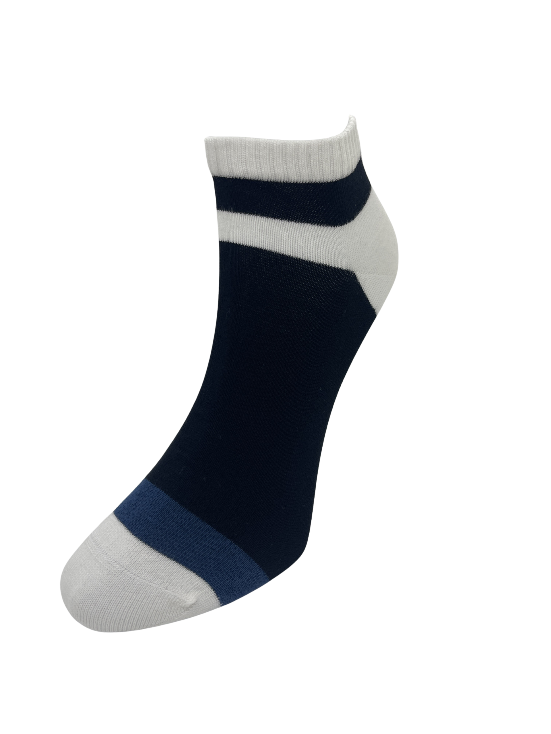 Untitled design (2).png