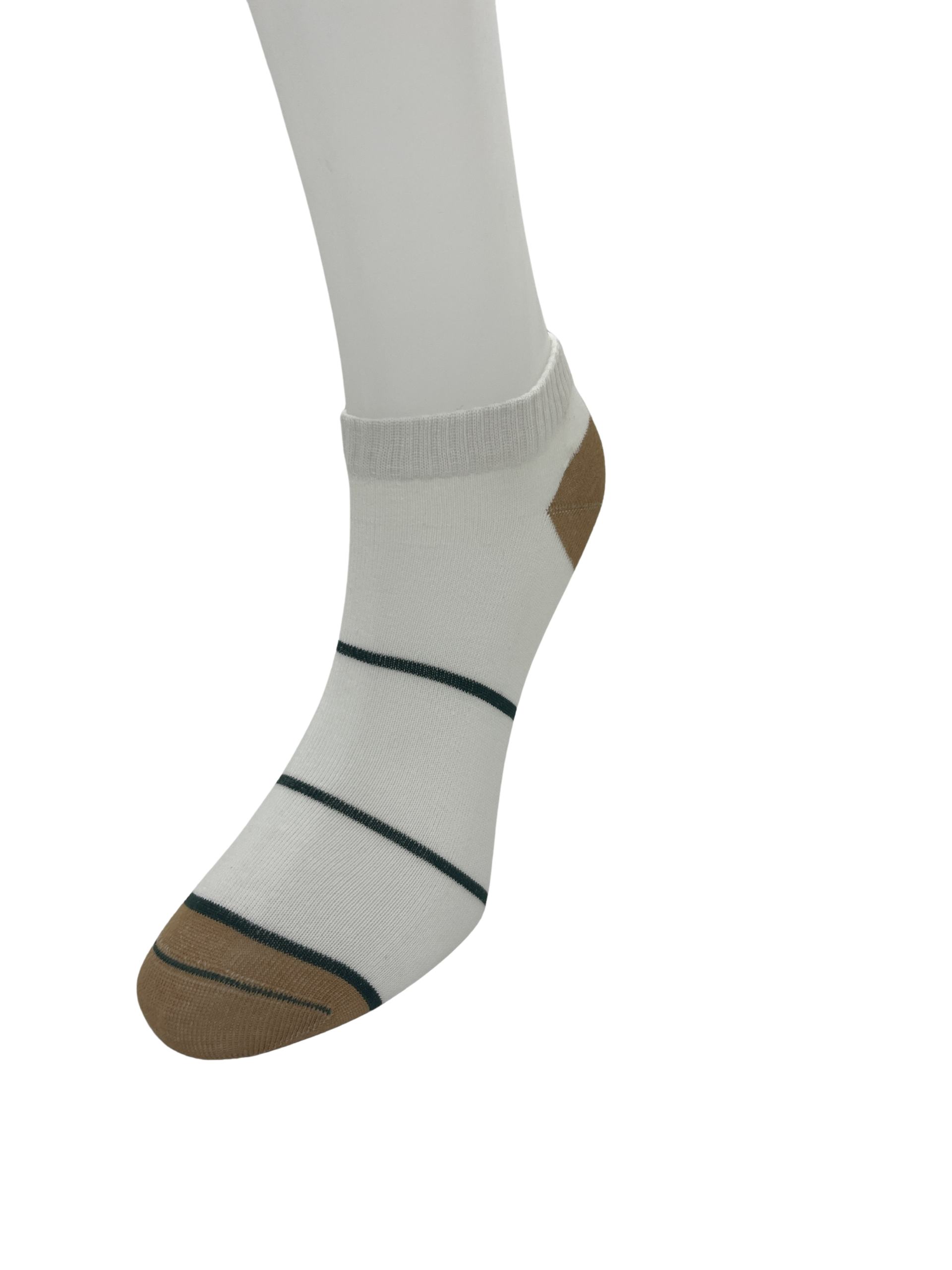 Untitled design (1).png