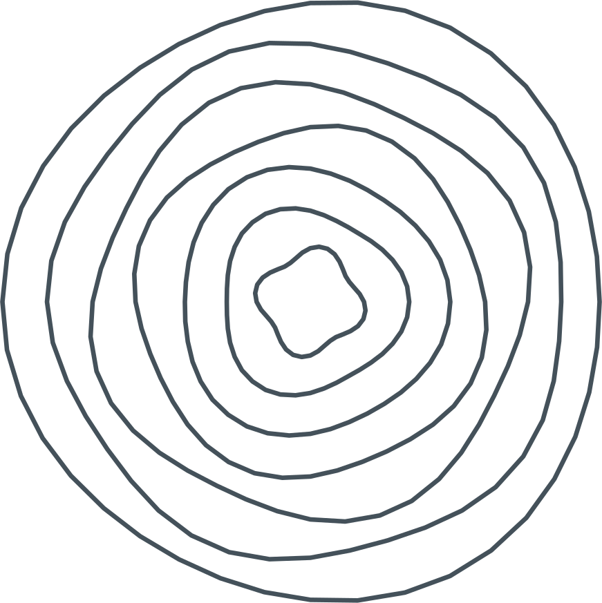 Experience + Programs