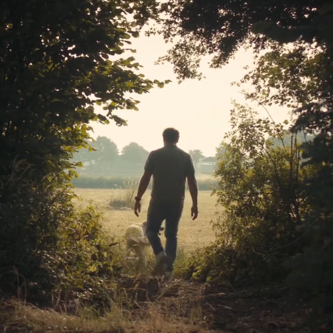 Man wandelt door een bos naar een open veld tijdens zonsondergang.